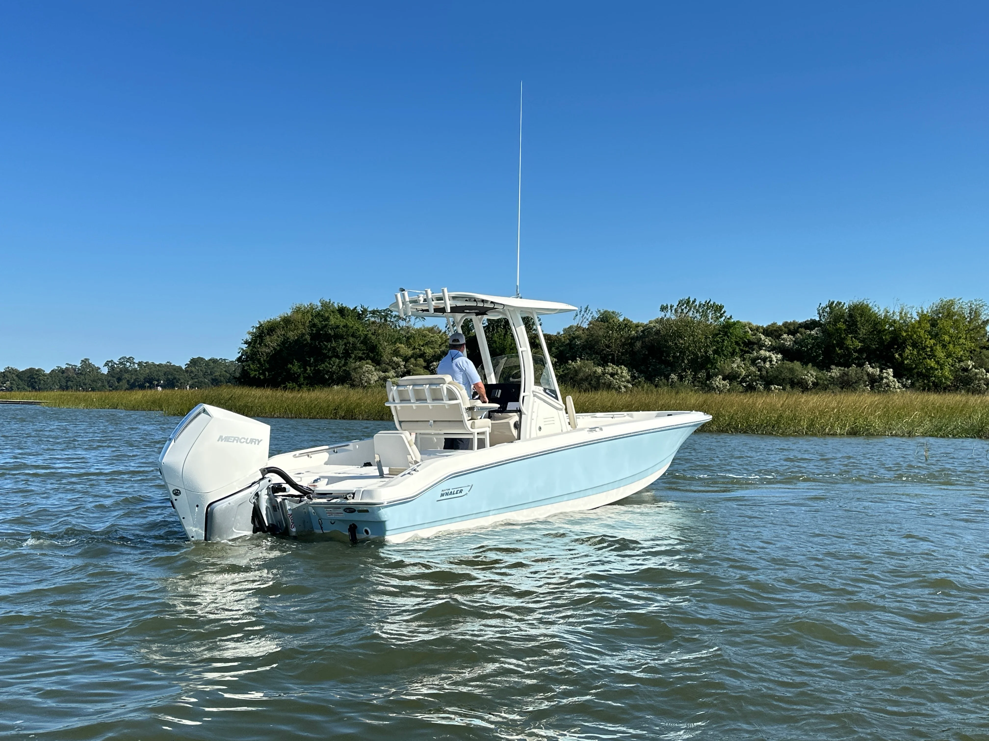 2025 Boston Whaler 250 Dauntless Image Thumbnail #1