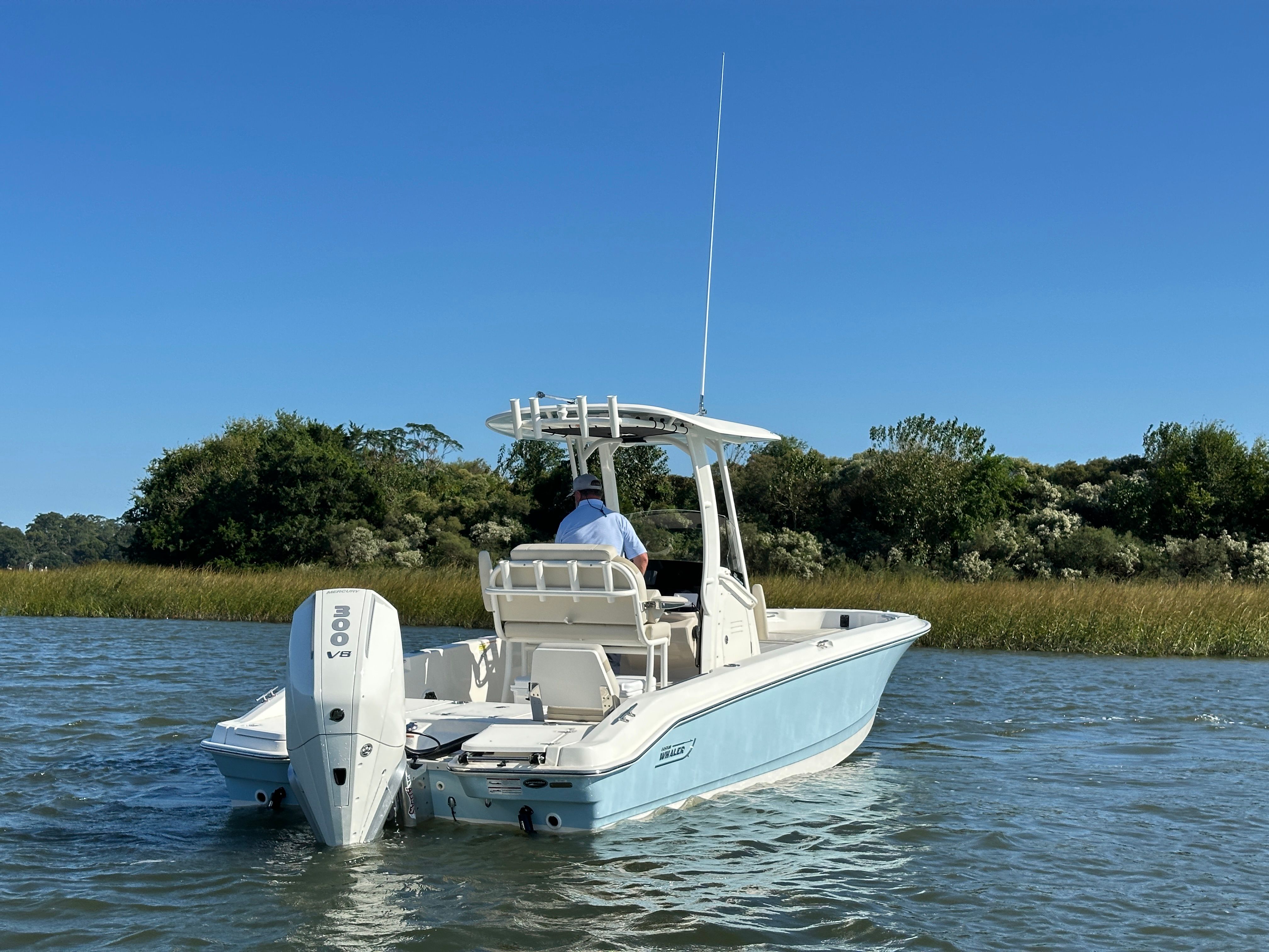 2025 Boston Whaler 250 Dauntless Image Thumbnail #2