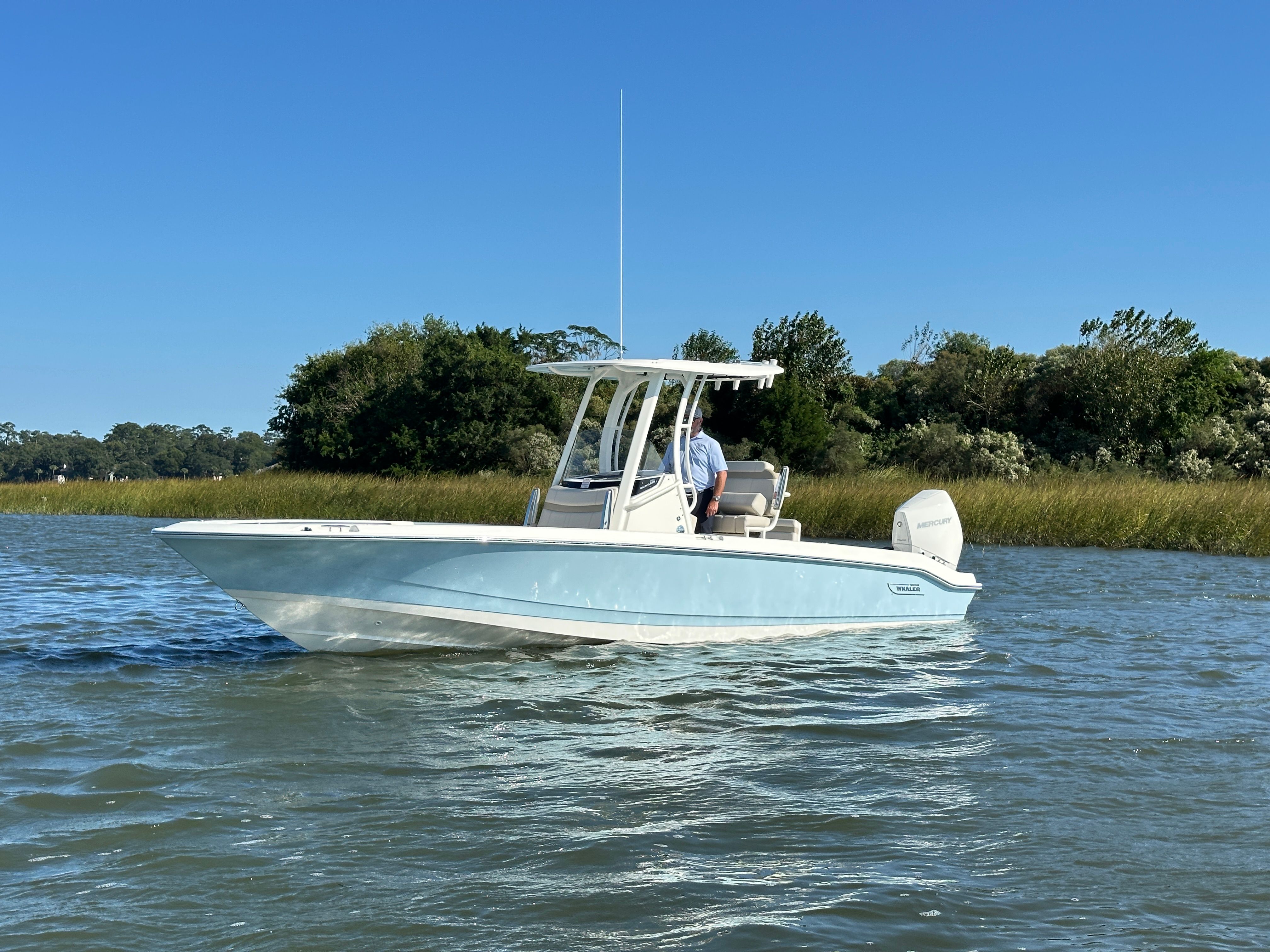 2025 Boston Whaler 250 Dauntless Image Thumbnail #6