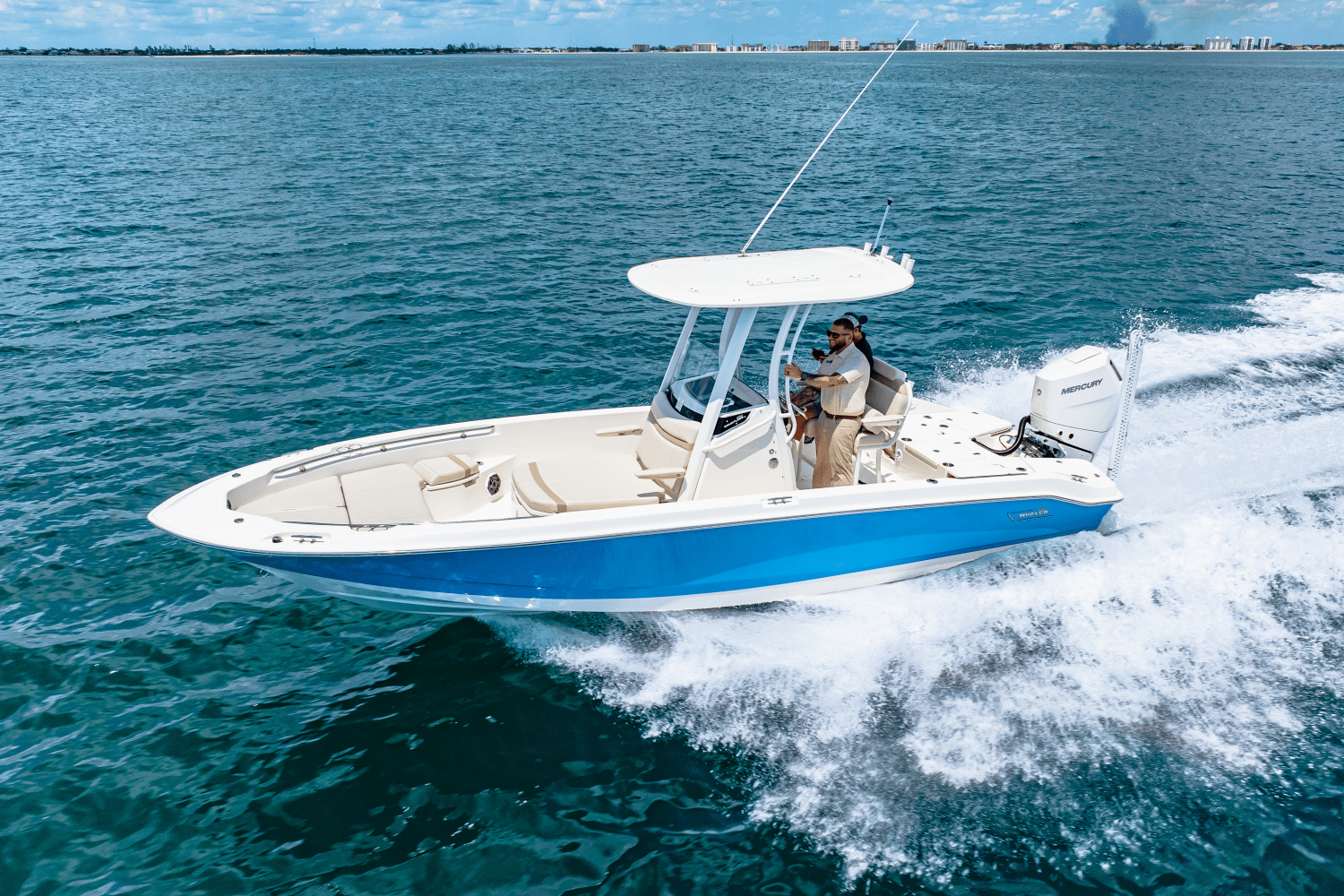 2025 Boston Whaler 250 Dauntless Image Thumbnail #46