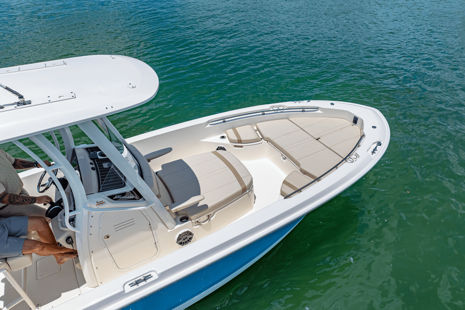 2025 Boston Whaler 250 Dauntless Image Thumbnail #7