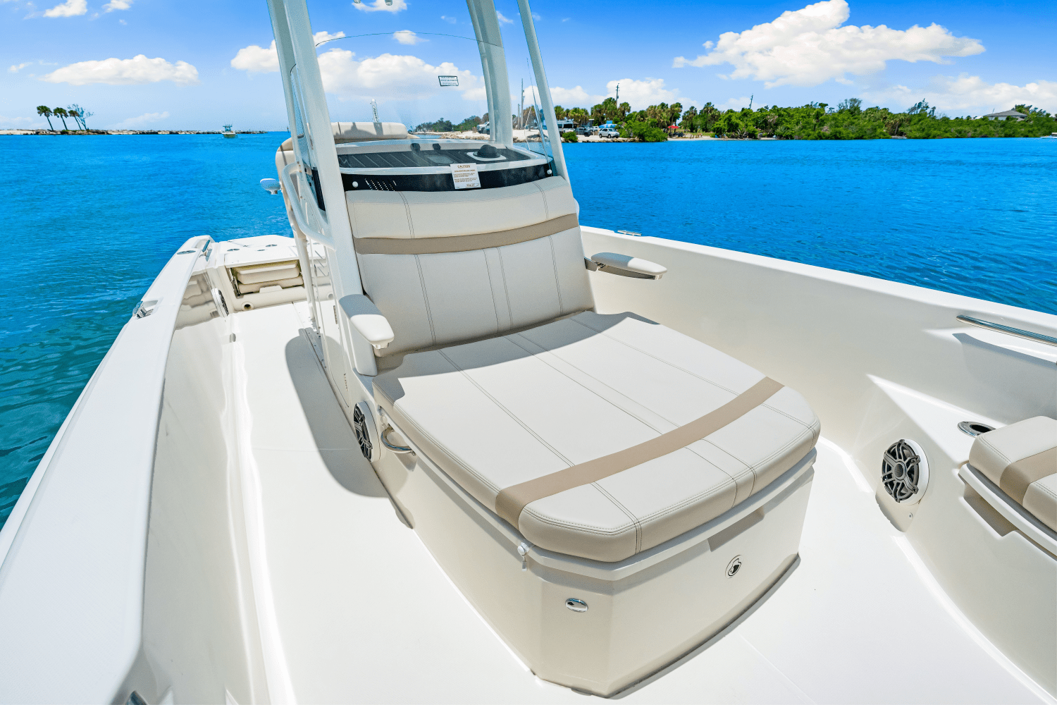 2025 Boston Whaler 250 Dauntless Image Thumbnail #21