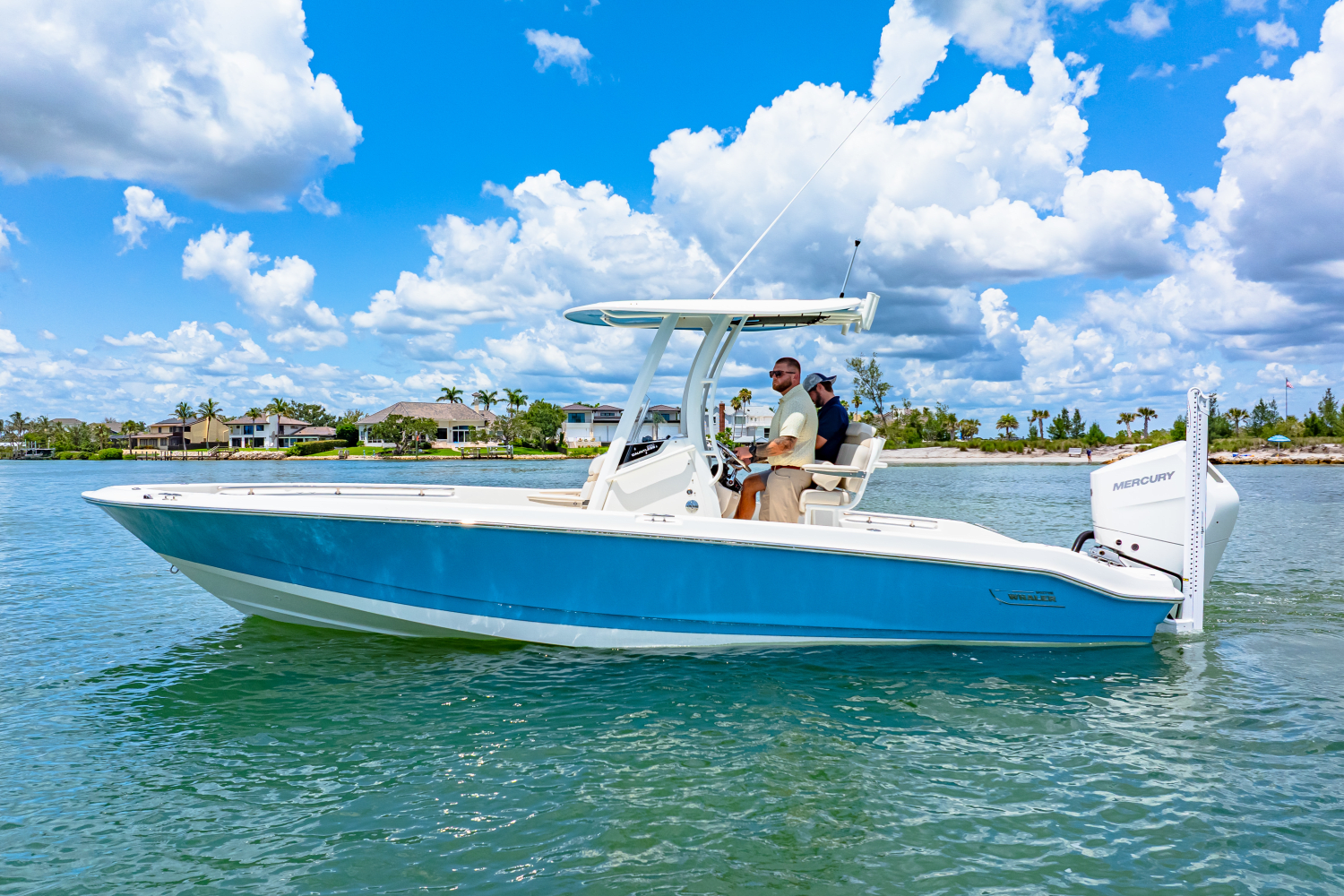 2025 Boston Whaler 250 Dauntless Image Thumbnail #2