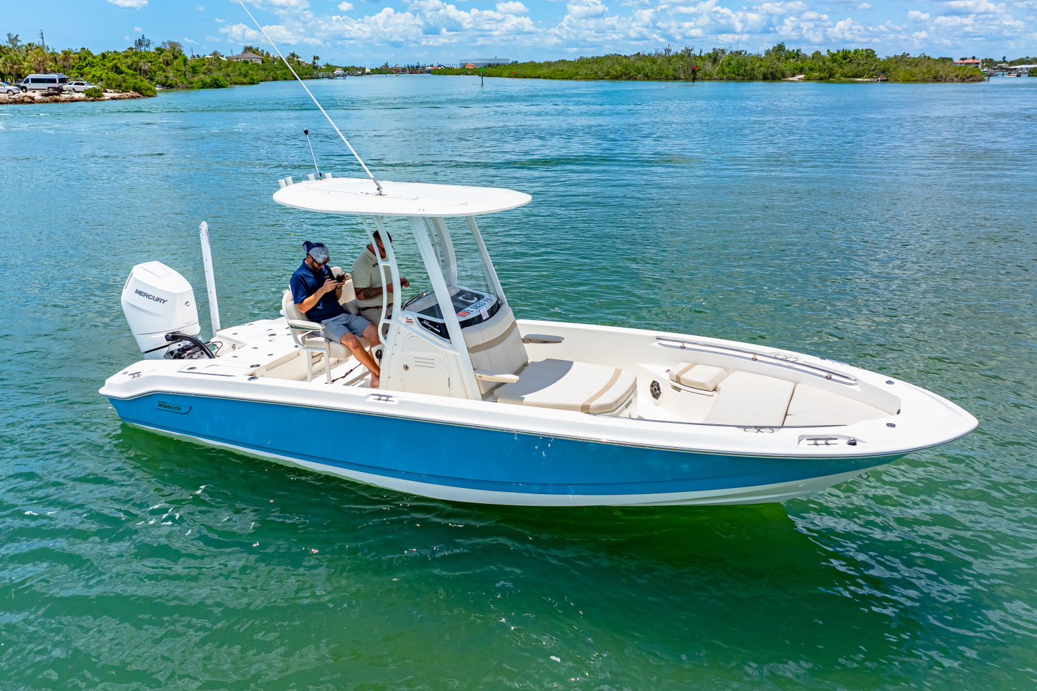2025 Boston Whaler 250 Dauntless Image Thumbnail #4