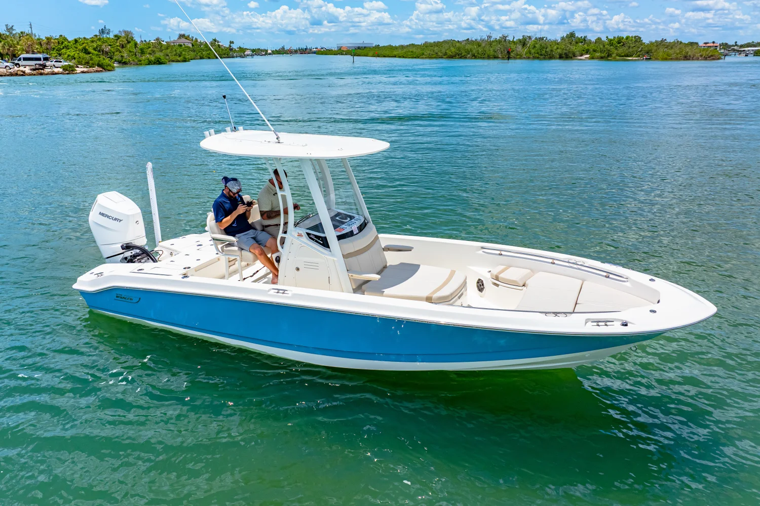 2025 Boston Whaler 250 Dauntless Image Thumbnail #4