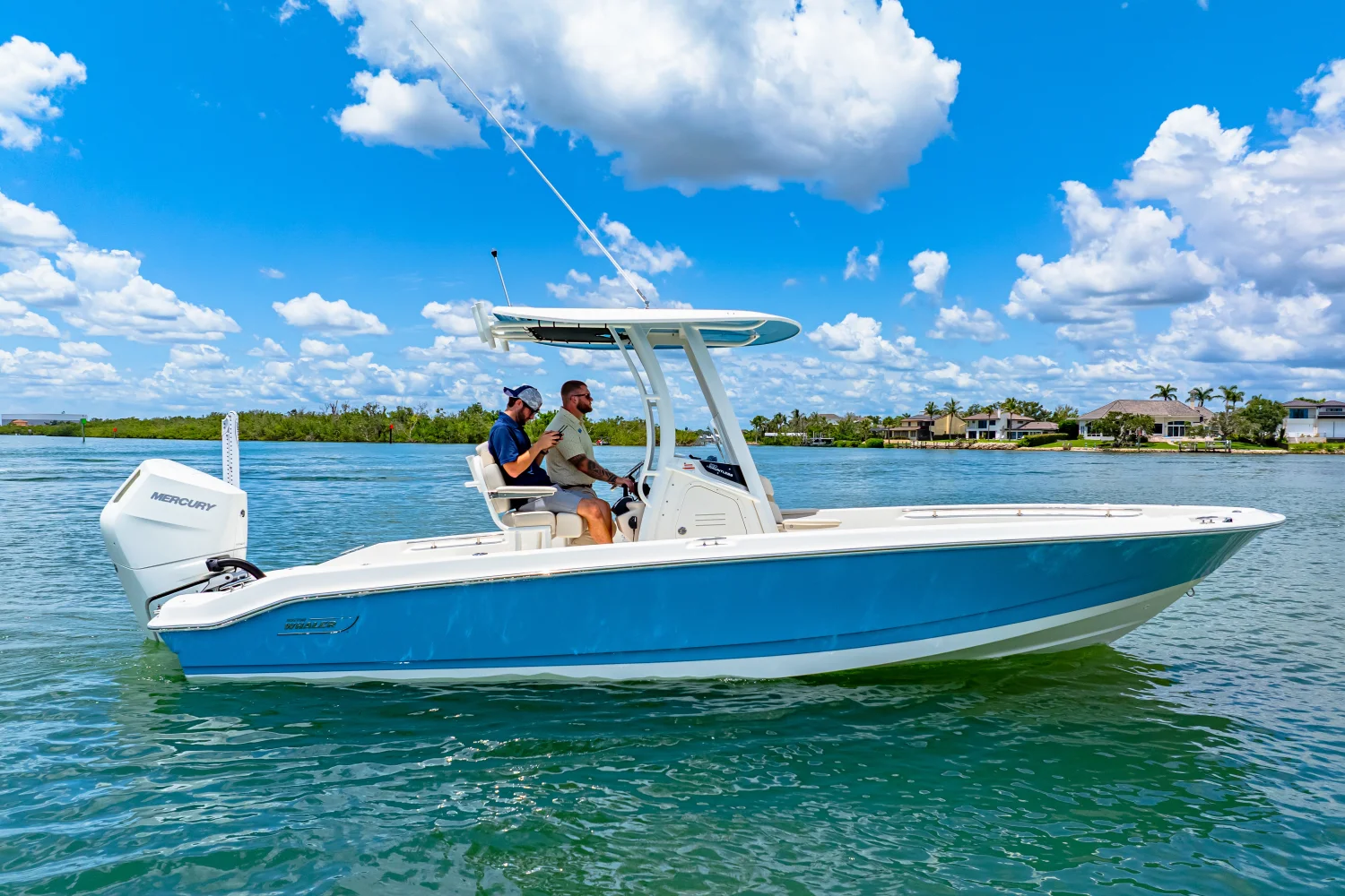 2025 Boston Whaler 250 Dauntless Image Thumbnail #0