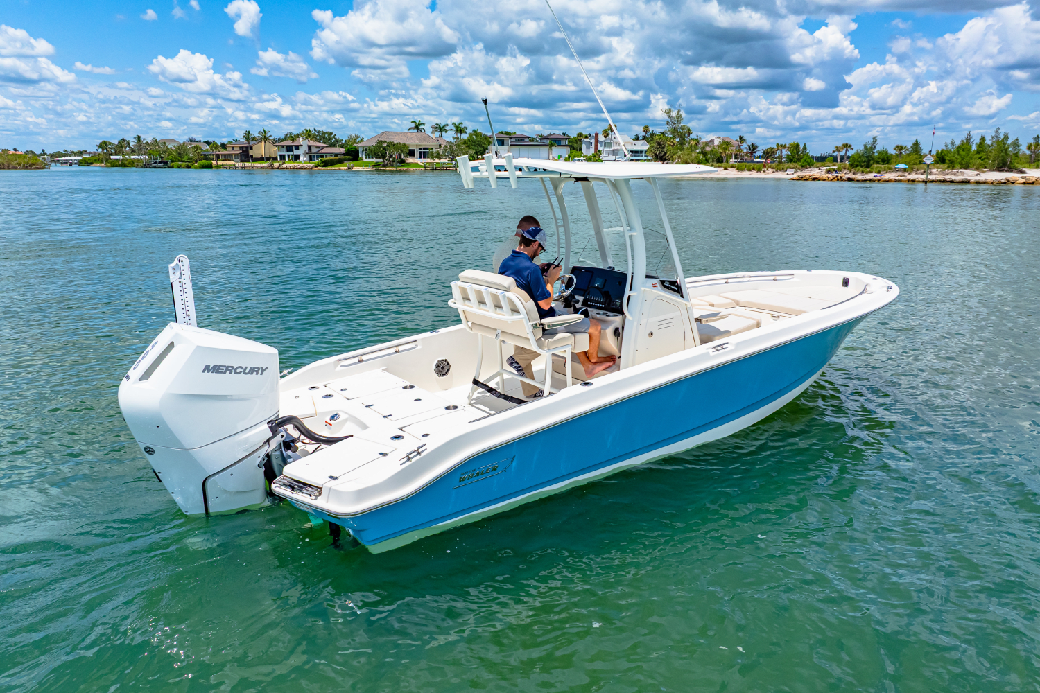 2025 Boston Whaler 250 Dauntless Image Thumbnail #8