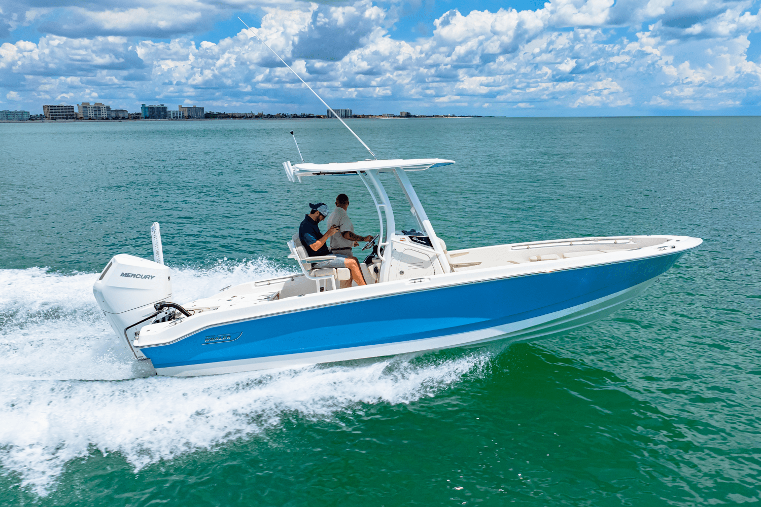 2025 Boston Whaler 250 Dauntless Image Thumbnail #44