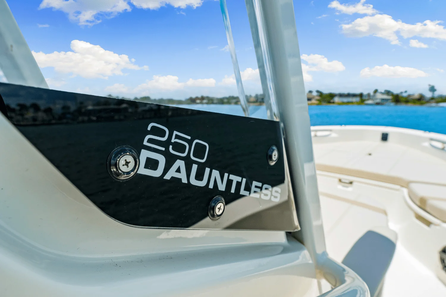 2025 Boston Whaler 250 Dauntless Image Thumbnail #41