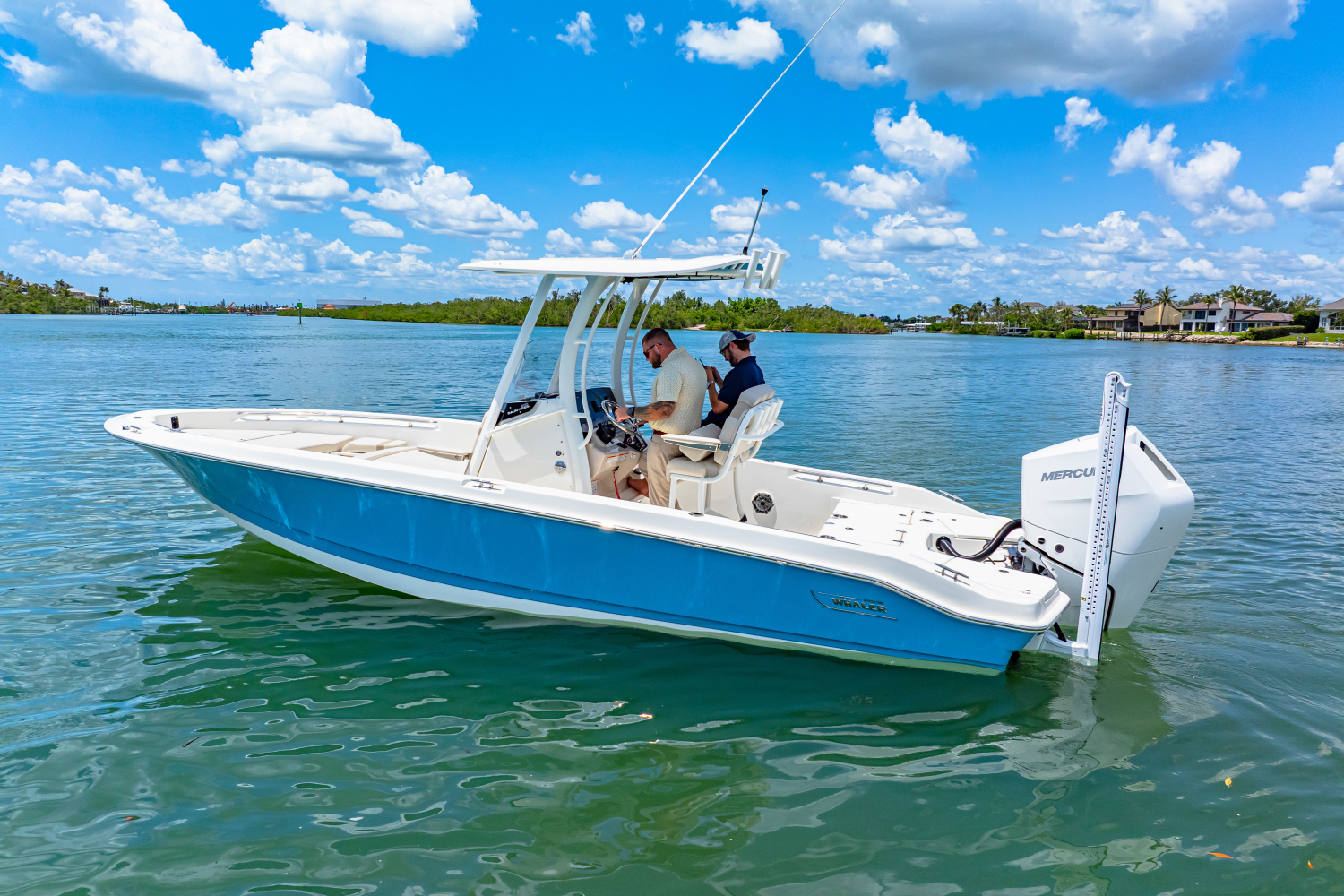 2025 Boston Whaler 250 Dauntless Image Thumbnail #10
