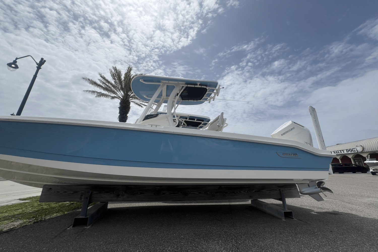 2025 Boston Whaler 250 Dauntless Image Thumbnail #4