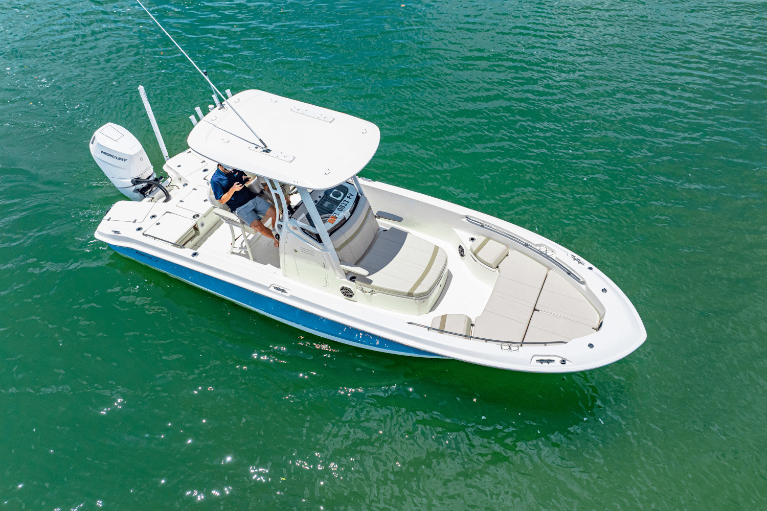 2025 Boston Whaler 250 Dauntless Image Thumbnail #6