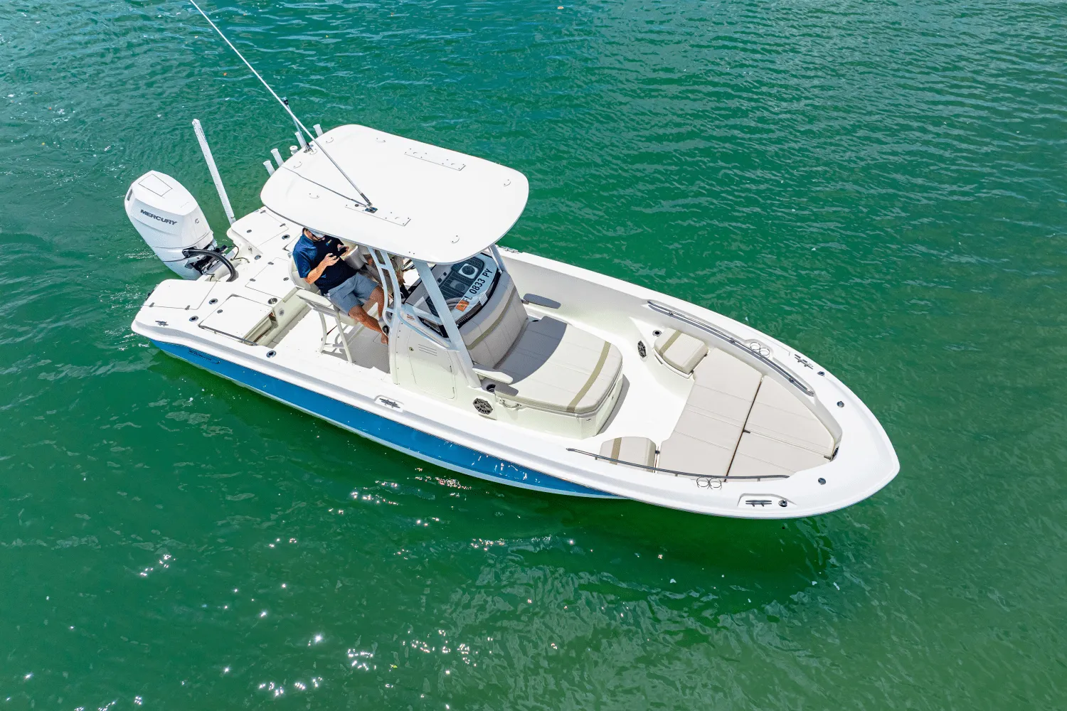 2025 Boston Whaler 250 Dauntless Image Thumbnail #6