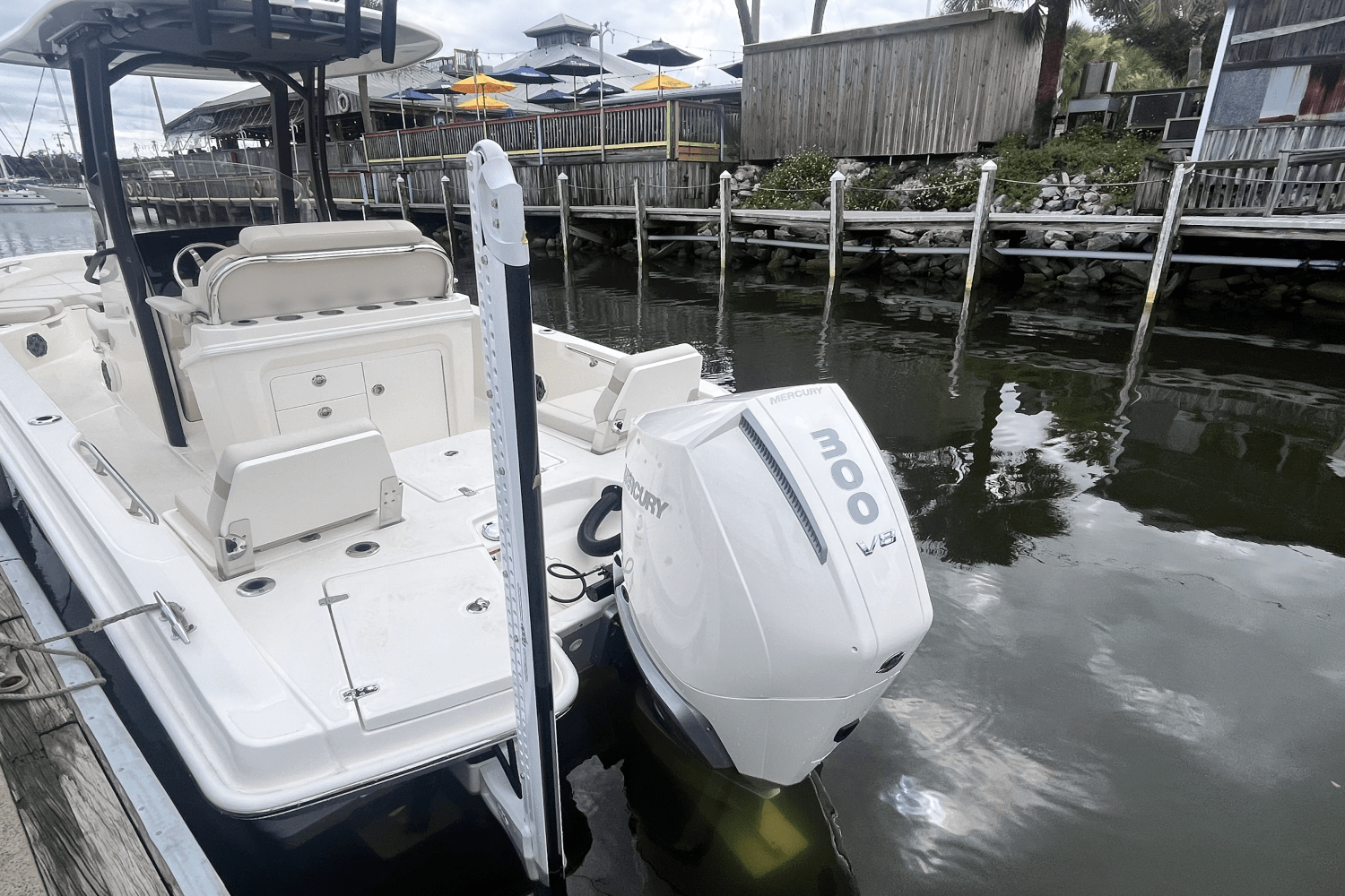 2025 Boston Whaler 250 Dauntless Image Thumbnail #3