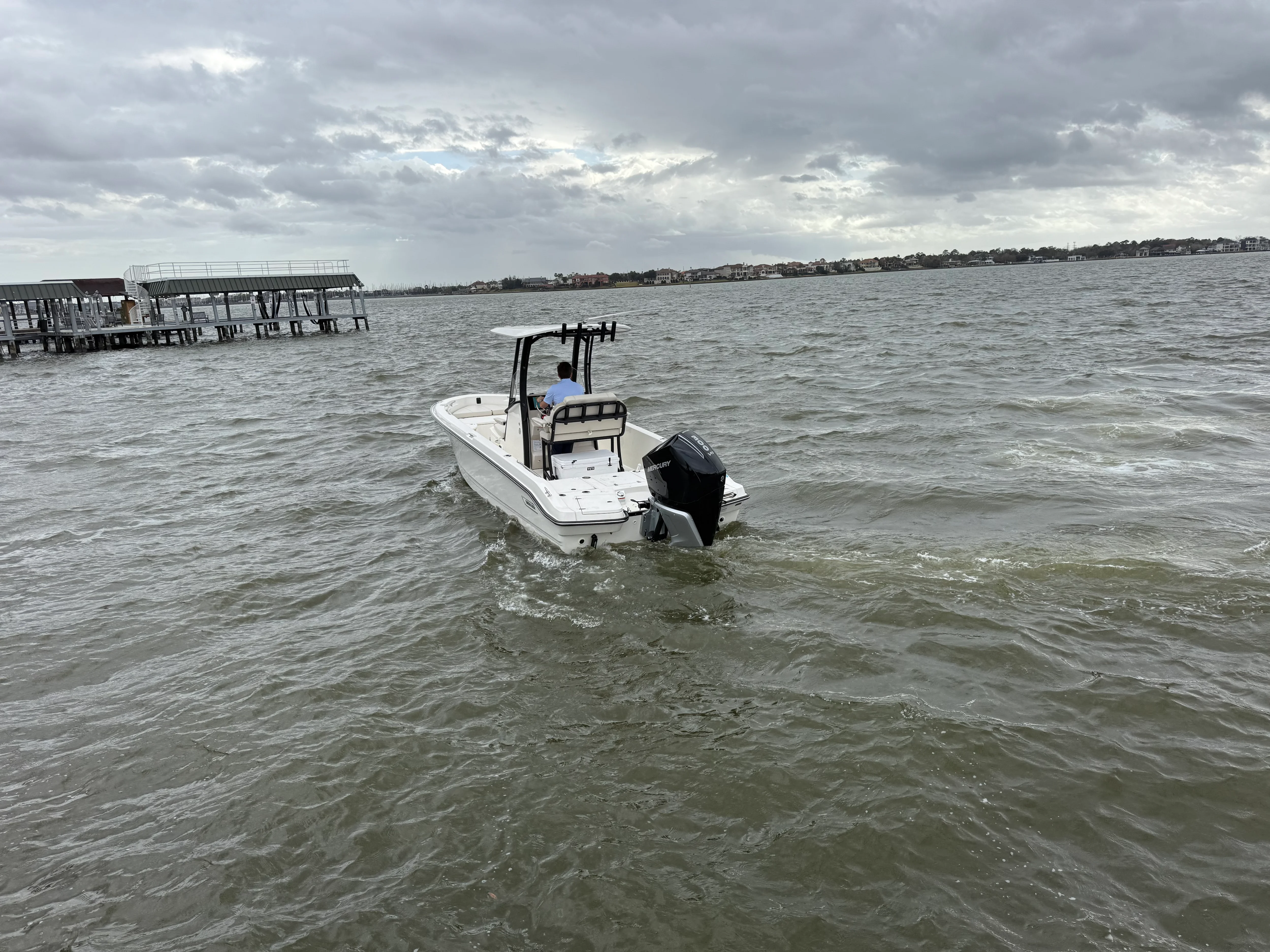 2025 Boston Whaler 250 Dauntless Image Thumbnail #3