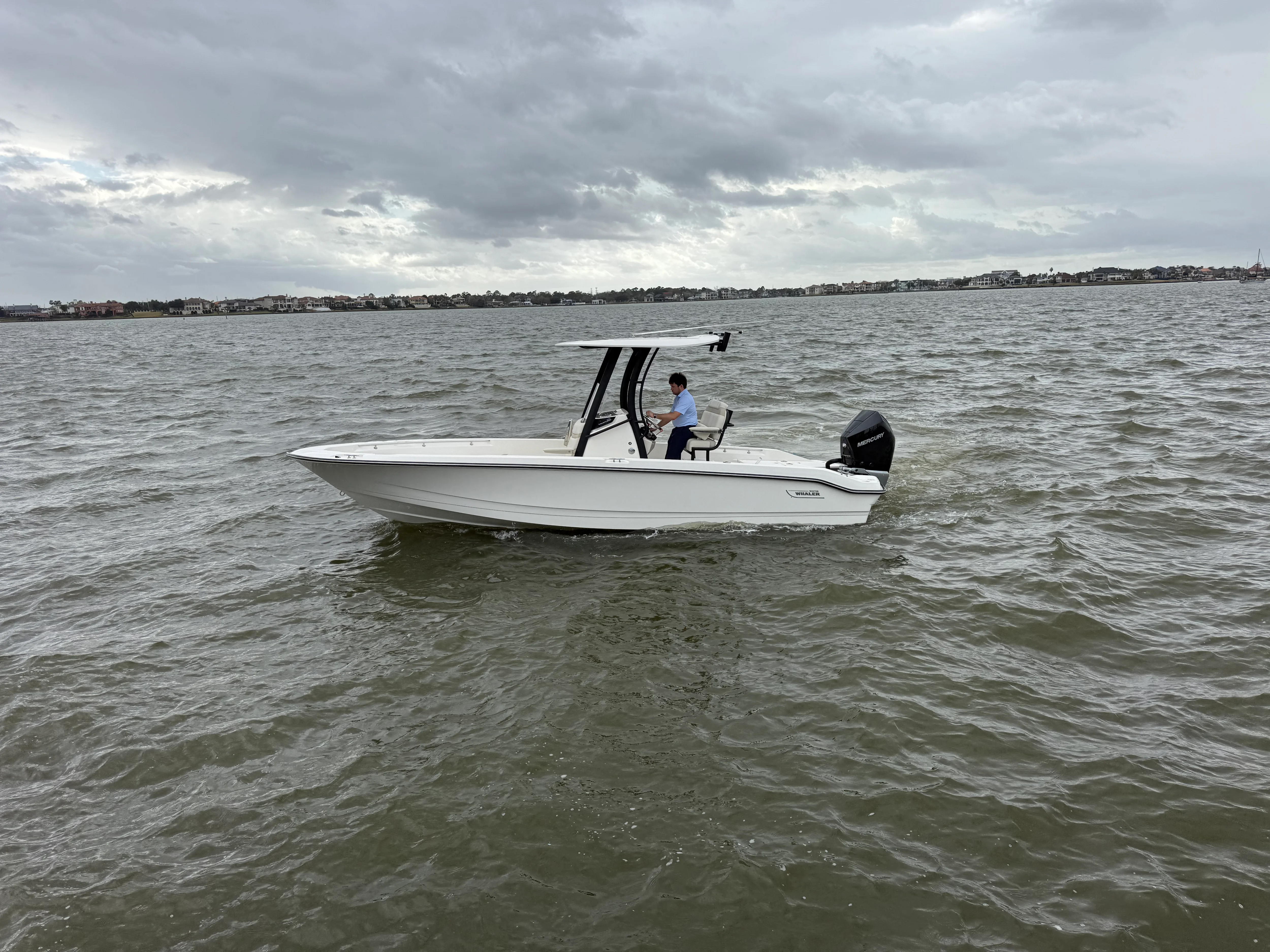 2025 Boston Whaler 250 Dauntless Image Thumbnail #5
