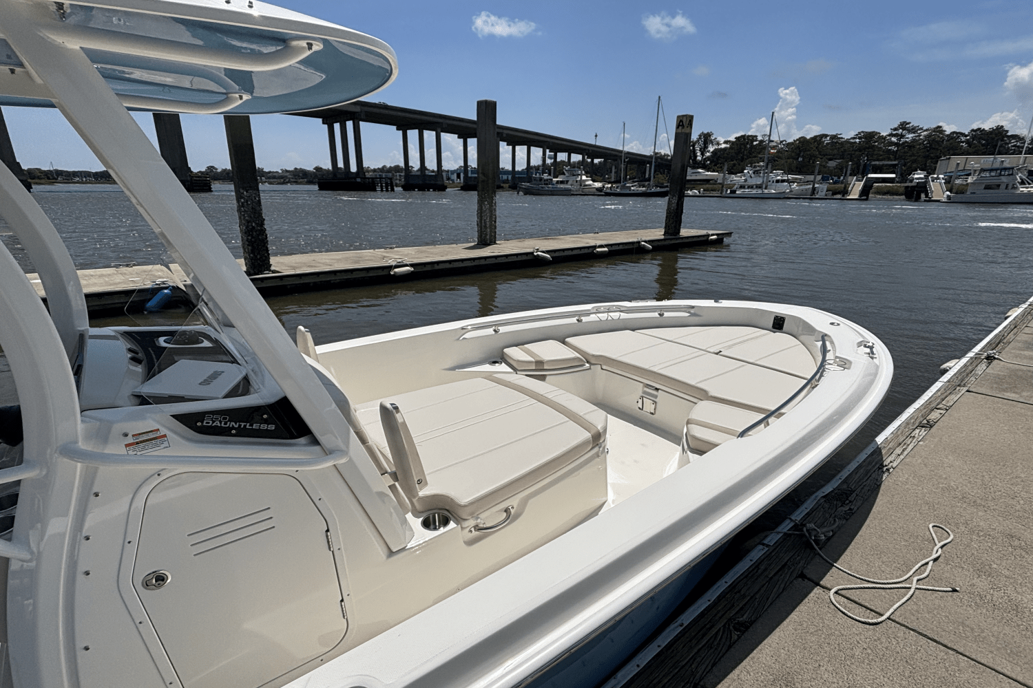 2025 Boston Whaler 250 Dauntless Image Thumbnail #7