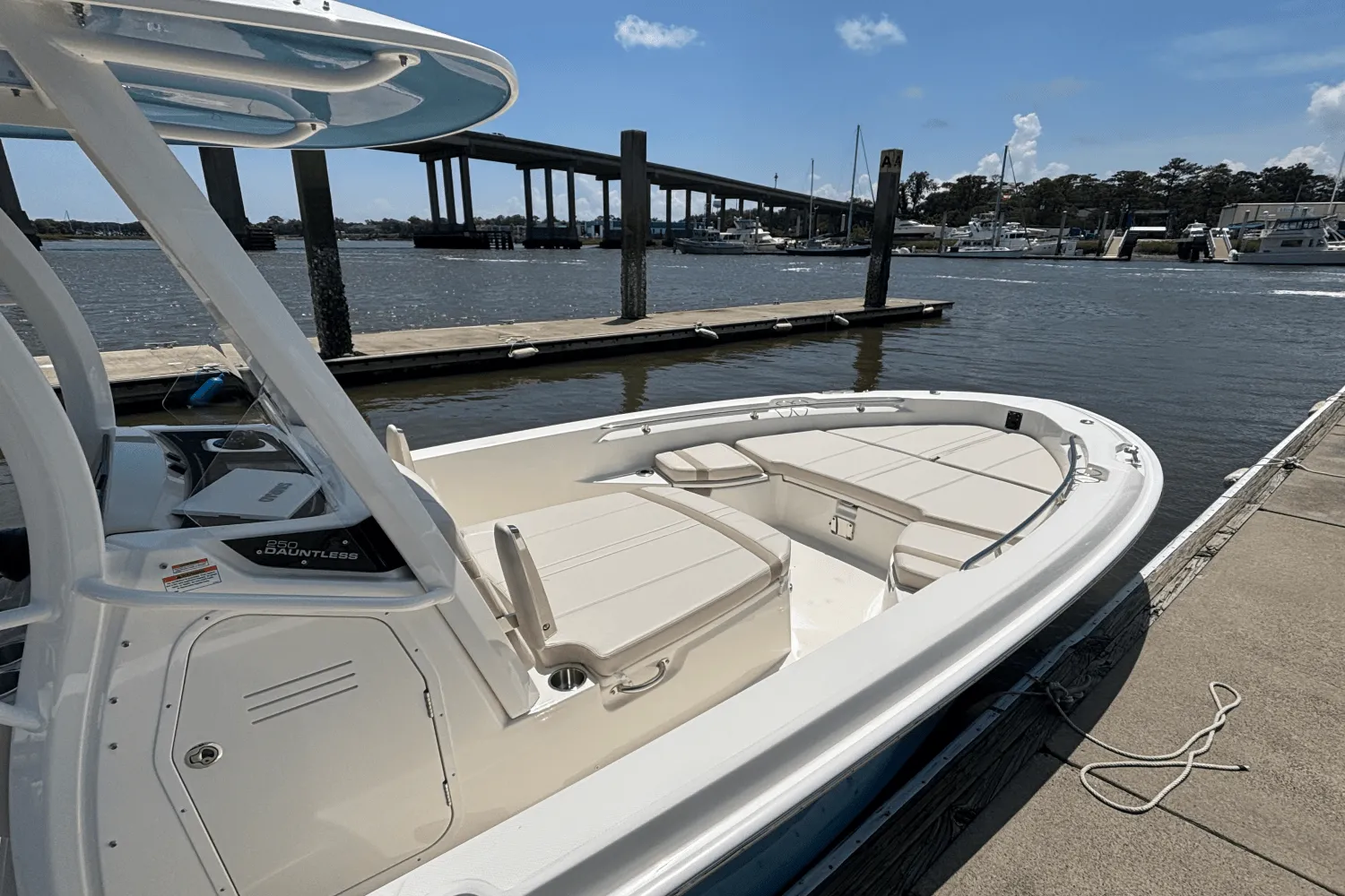 2025 Boston Whaler 250 Dauntless Image Thumbnail #7