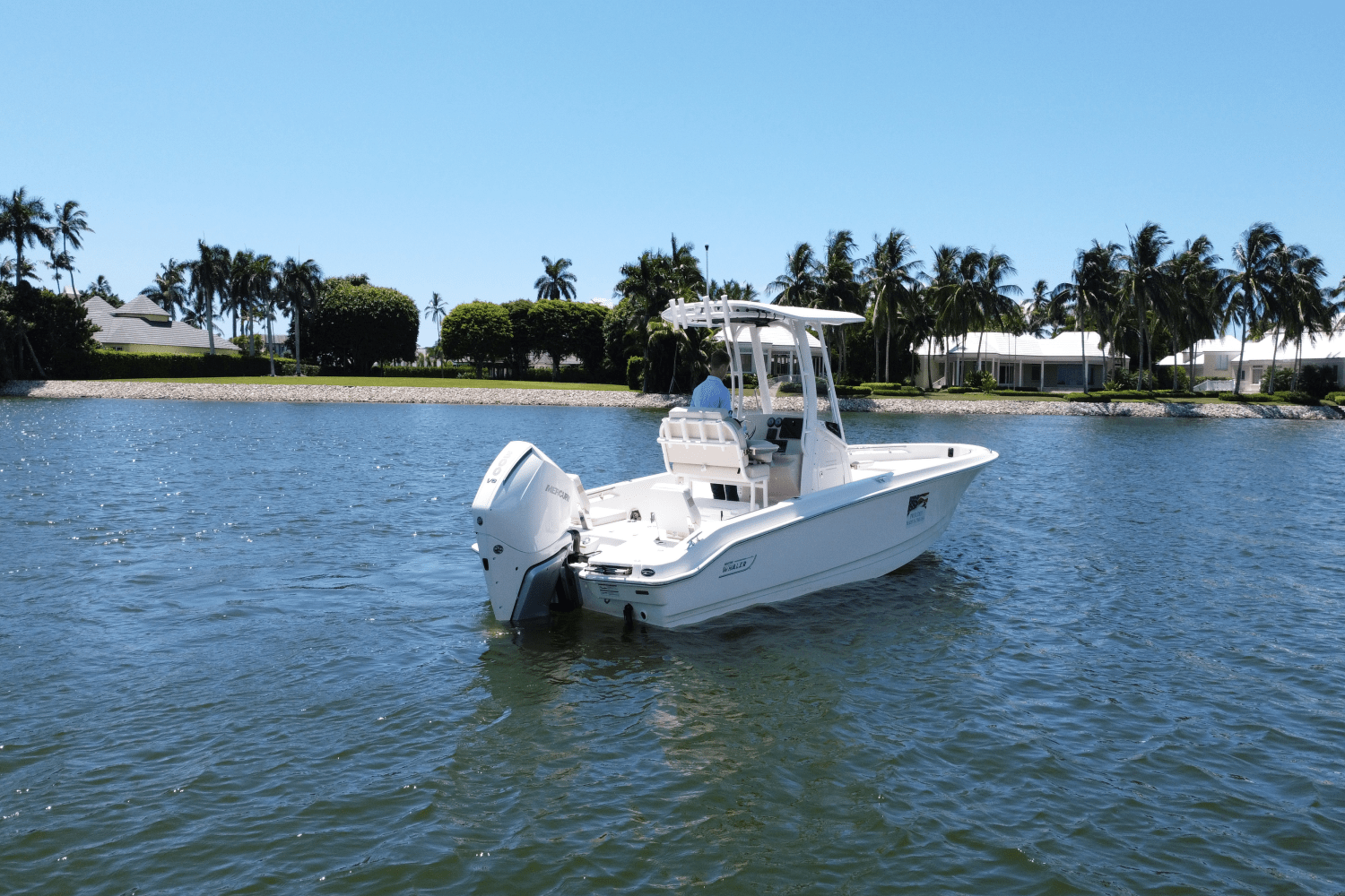 2025 Boston Whaler 250 Dauntless Image Thumbnail #2