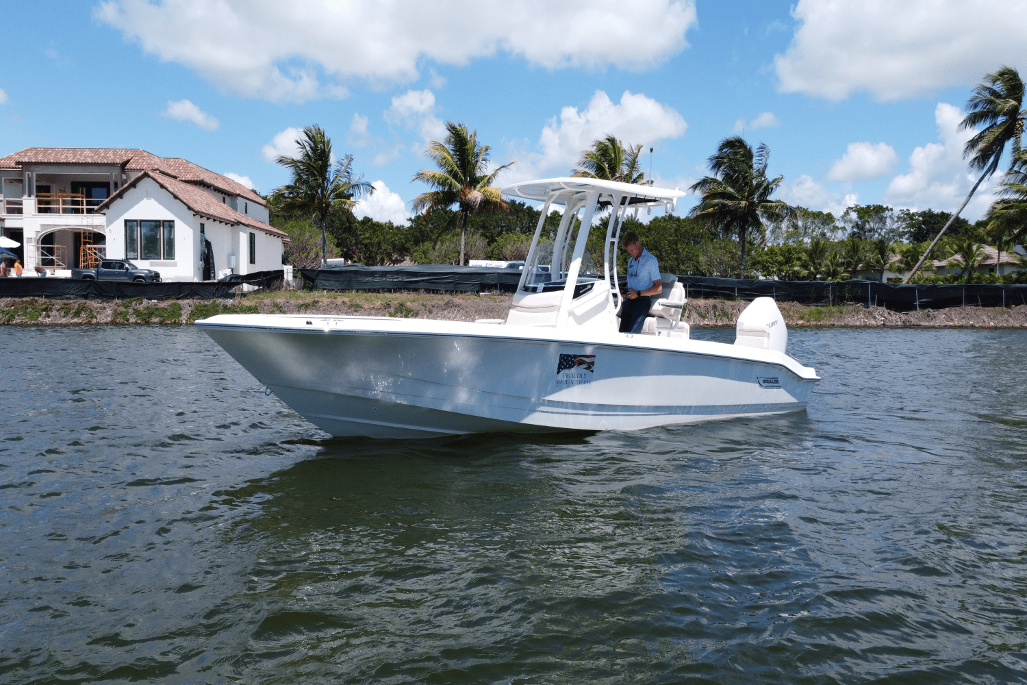 2025 Boston Whaler 250 Dauntless Image Thumbnail #6