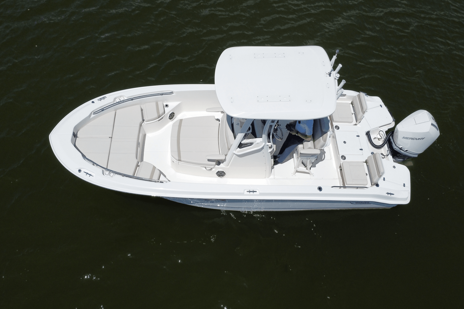 2025 Boston Whaler 250 Dauntless Image Thumbnail #12