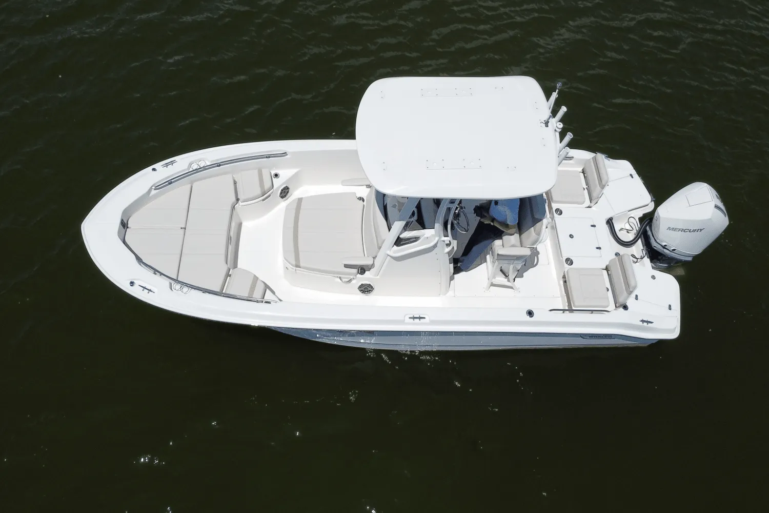 2025 Boston Whaler 250 Dauntless Image Thumbnail #12
