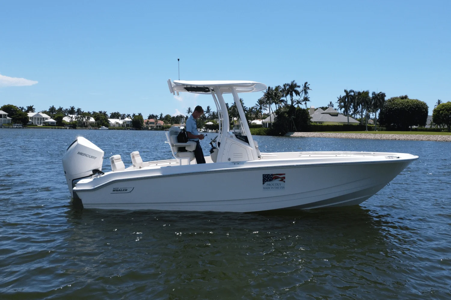 2025 Boston Whaler 250 Dauntless Image Thumbnail #1