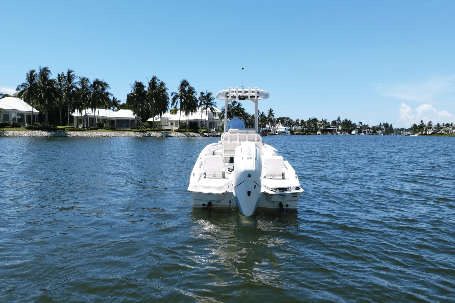 2025 Boston Whaler 250 Dauntless Image Thumbnail #3