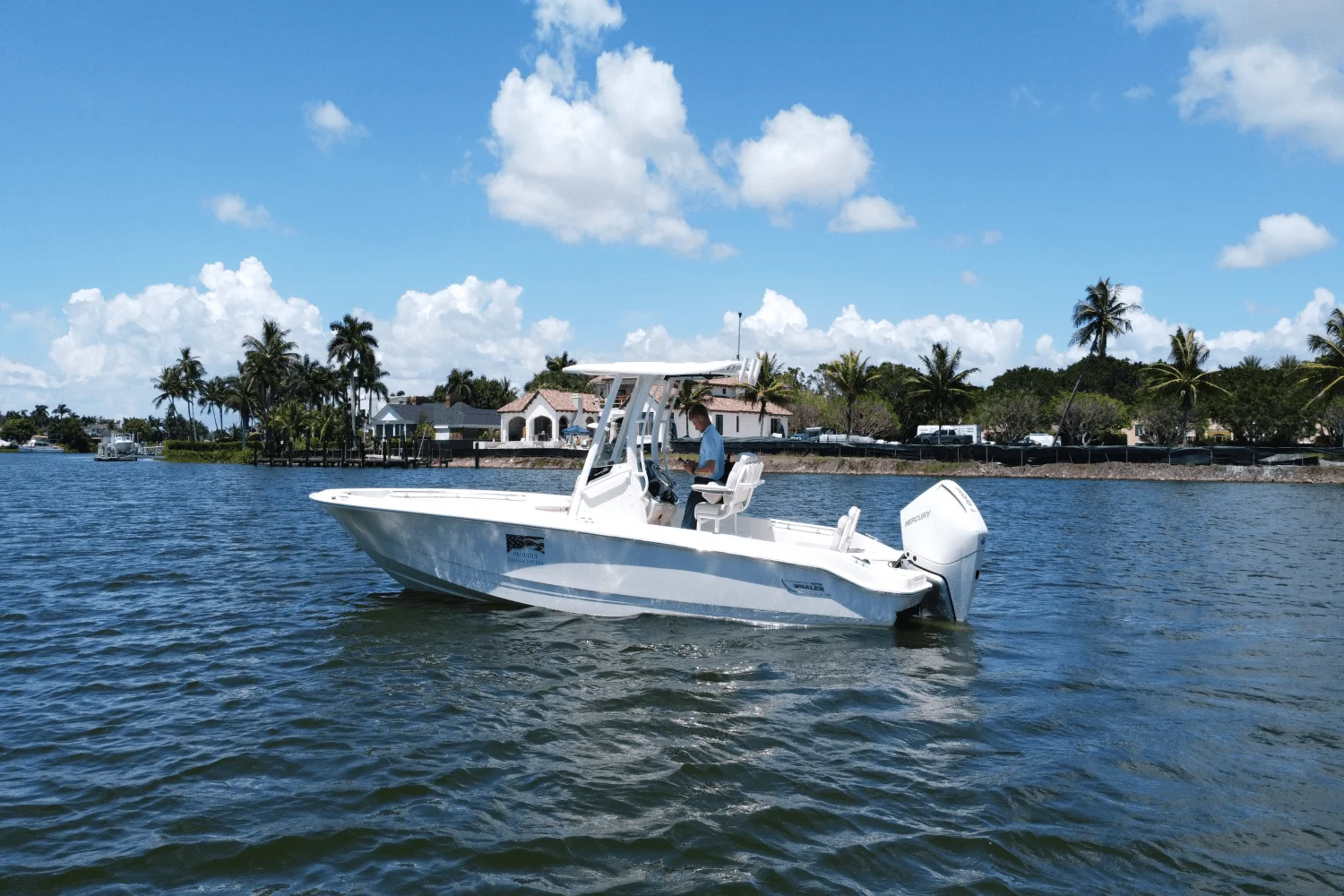 2025 Boston Whaler 250 Dauntless Image Thumbnail #5