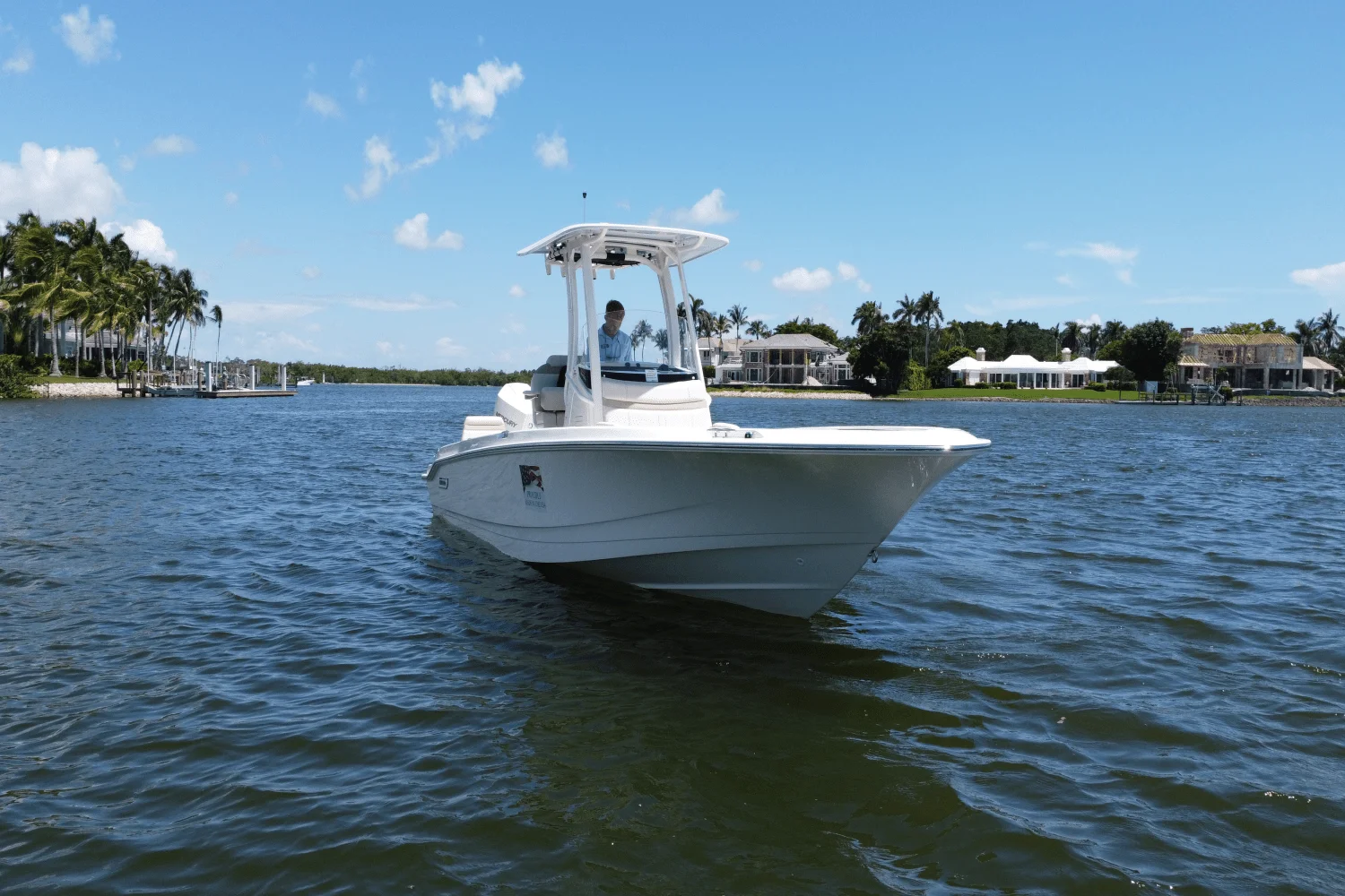 2025 Boston Whaler 250 Dauntless Image Thumbnail #10