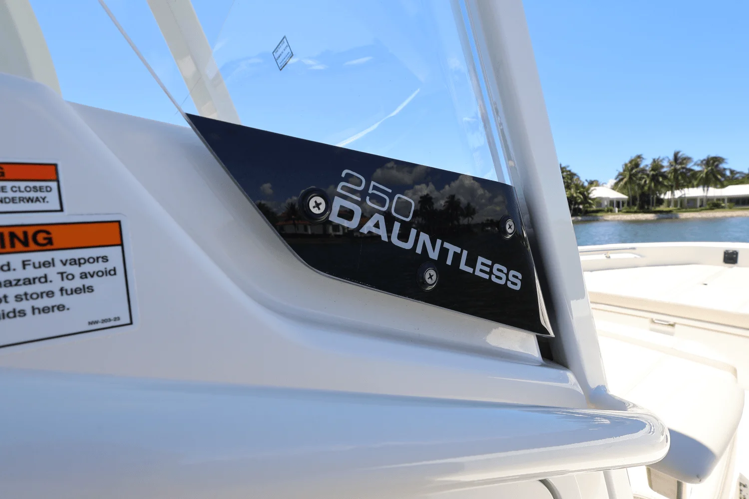 2025 Boston Whaler 250 Dauntless Image Thumbnail #35