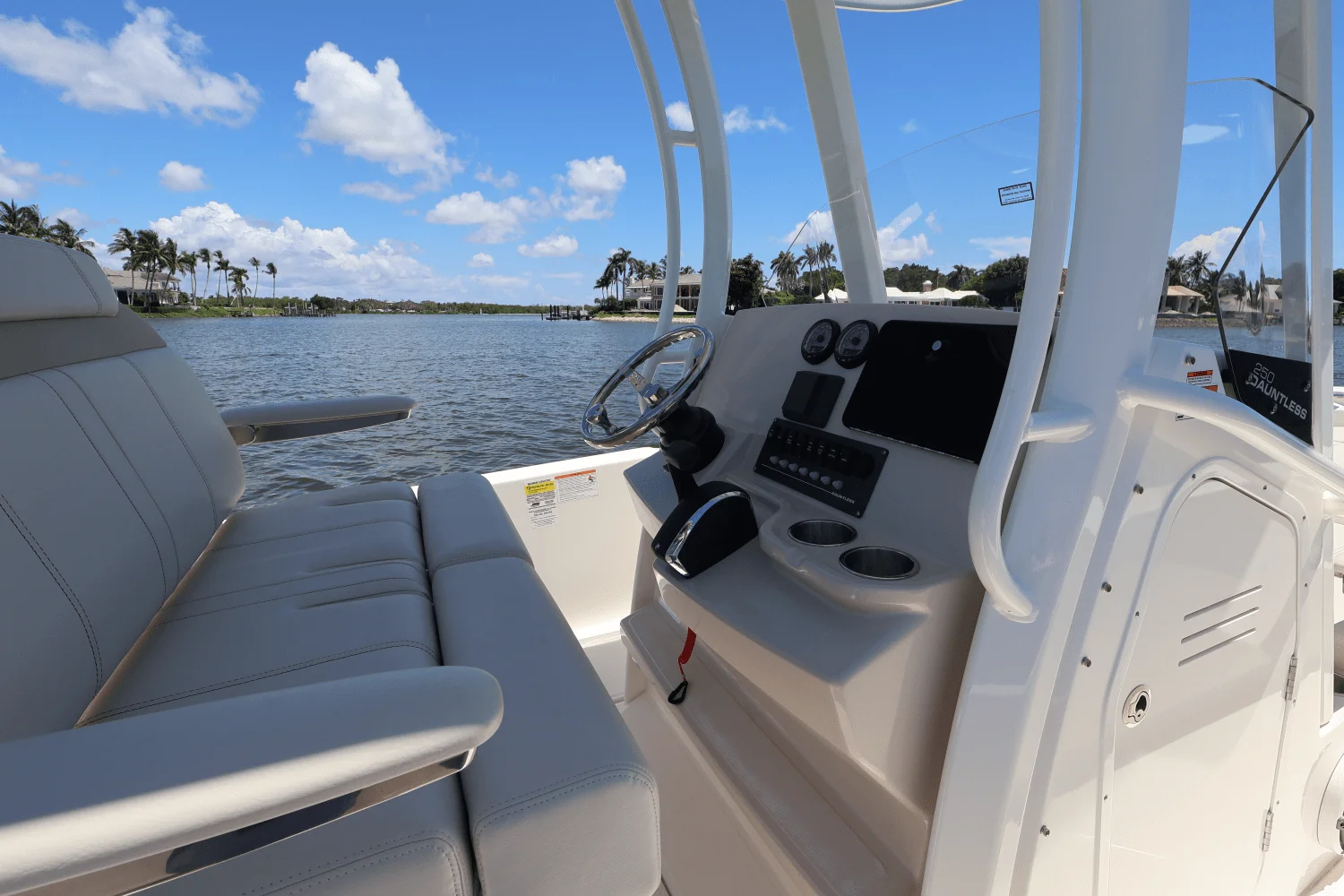 2025 Boston Whaler 250 Dauntless Image Thumbnail #30