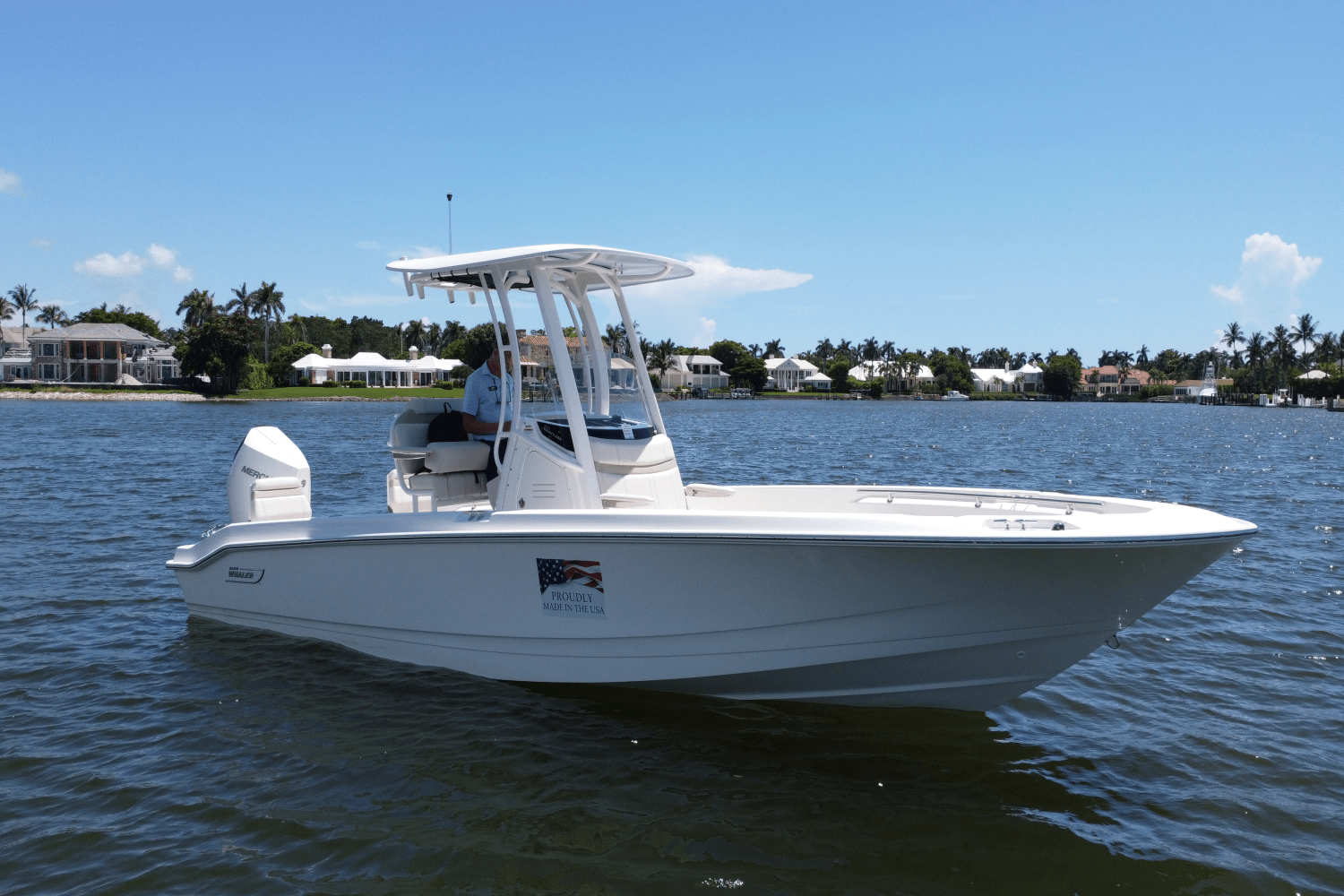 2025 Boston Whaler 250 Dauntless Image Thumbnail #0