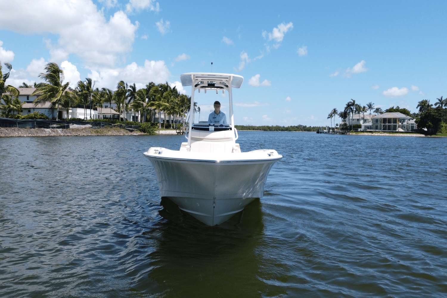 2025 Boston Whaler 250 Dauntless Image Thumbnail #8