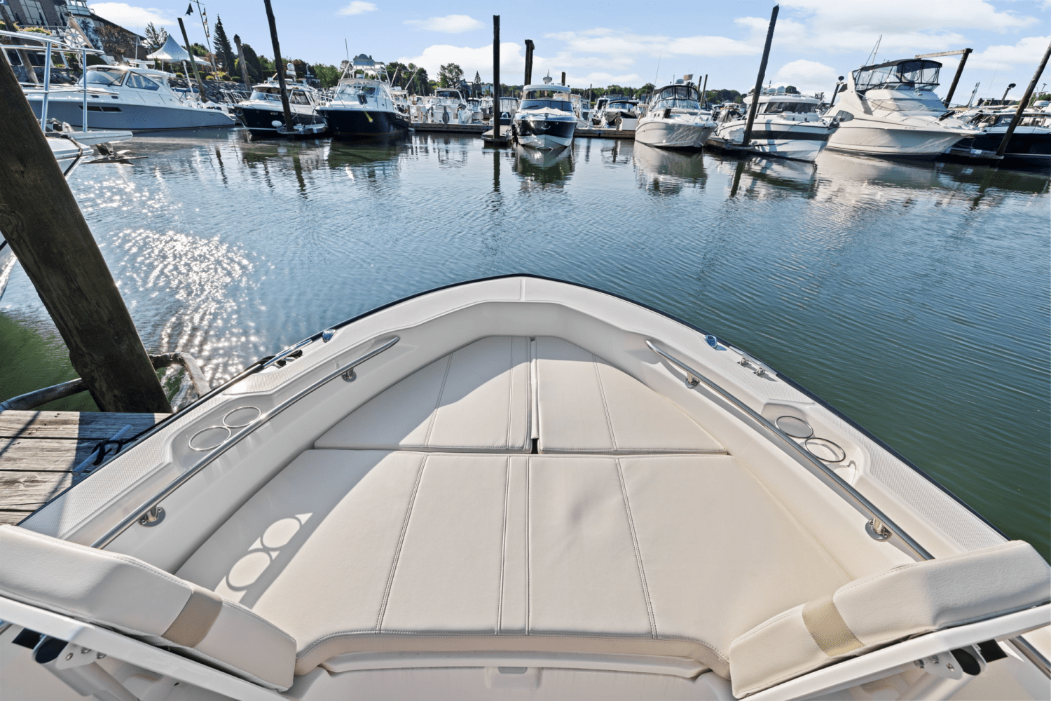 2025 Boston Whaler 250 Dauntless Image Thumbnail #58