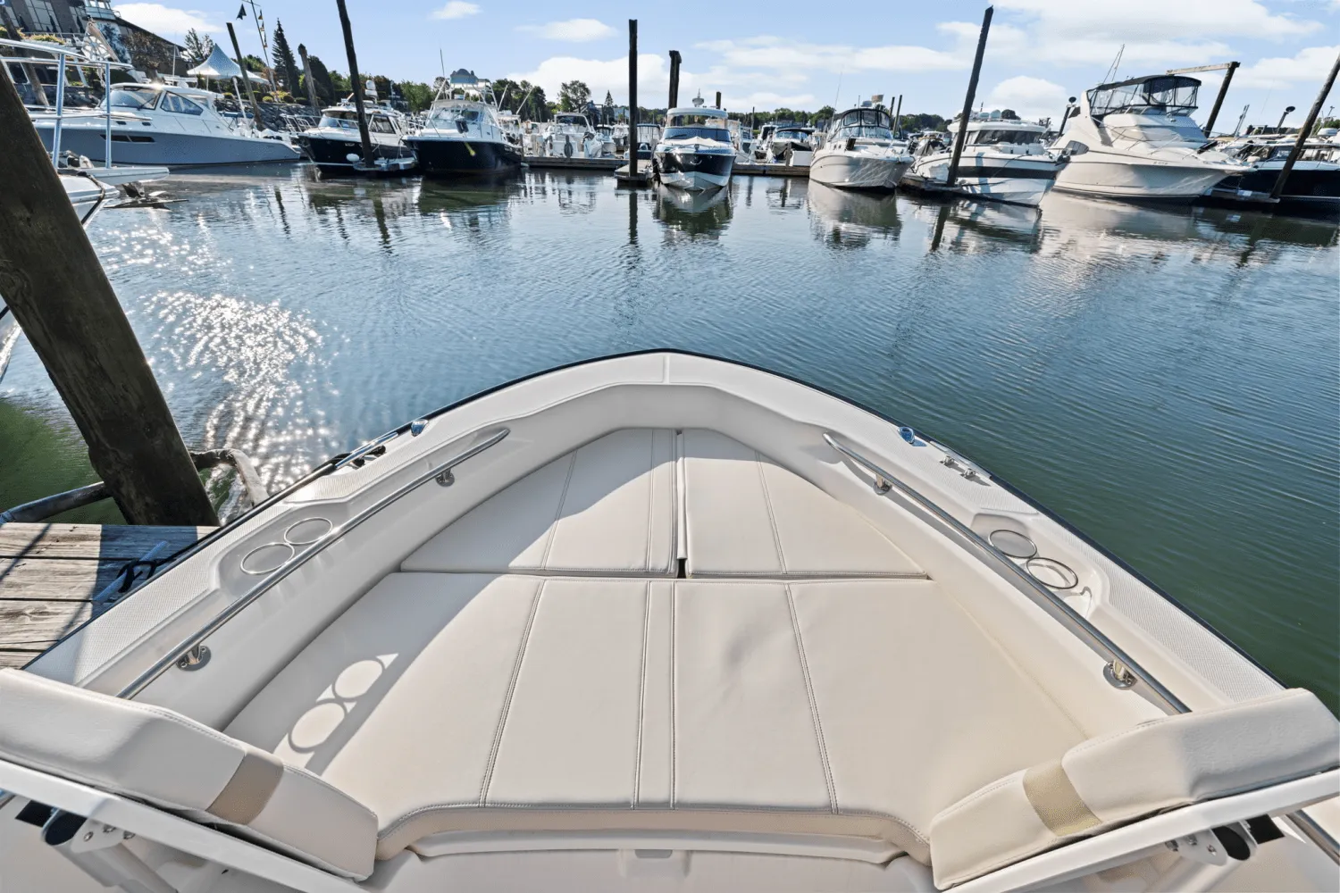 2025 Boston Whaler 250 Dauntless Image Thumbnail #58