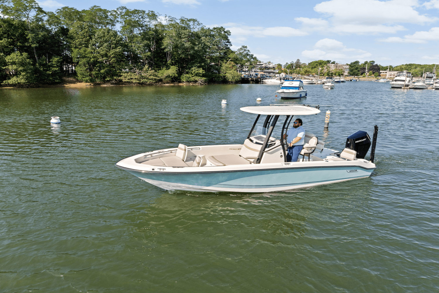 2025 Boston Whaler 250 Dauntless Image Thumbnail #68