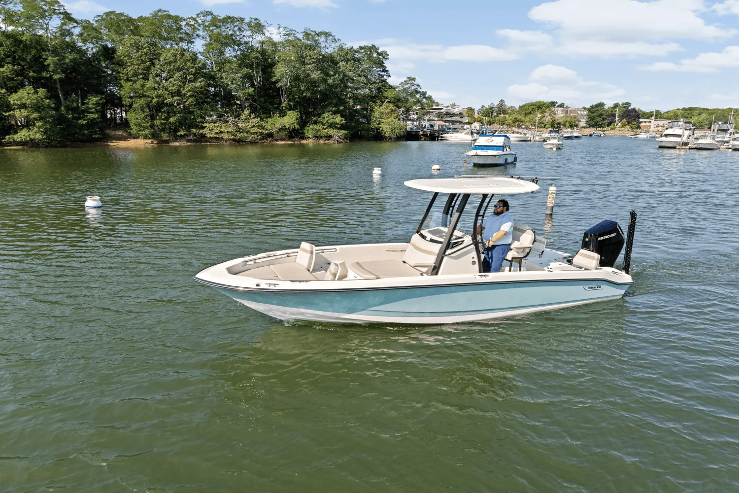 2025 Boston Whaler 250 Dauntless Image Thumbnail #68