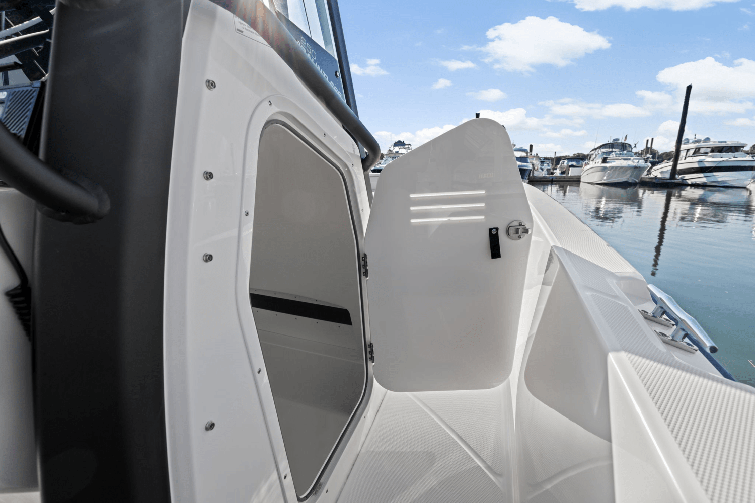 2025 Boston Whaler 250 Dauntless Image Thumbnail #45