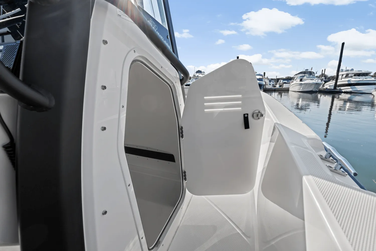 2025 Boston Whaler 250 Dauntless Image Thumbnail #45