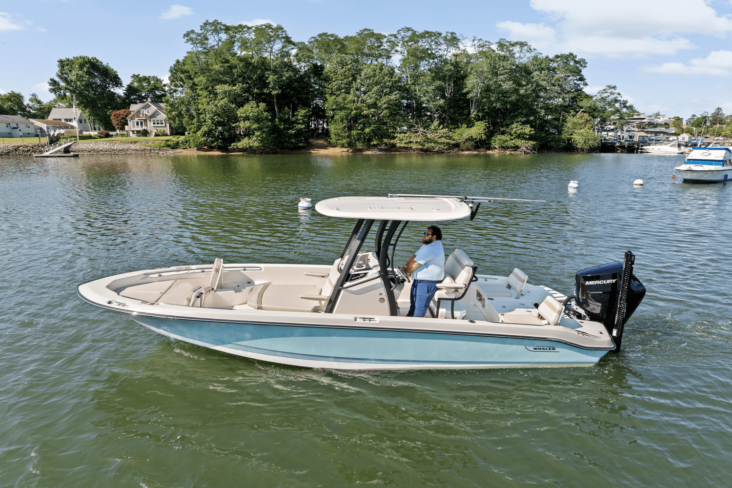2025 Boston Whaler 250 Dauntless Image Thumbnail #69