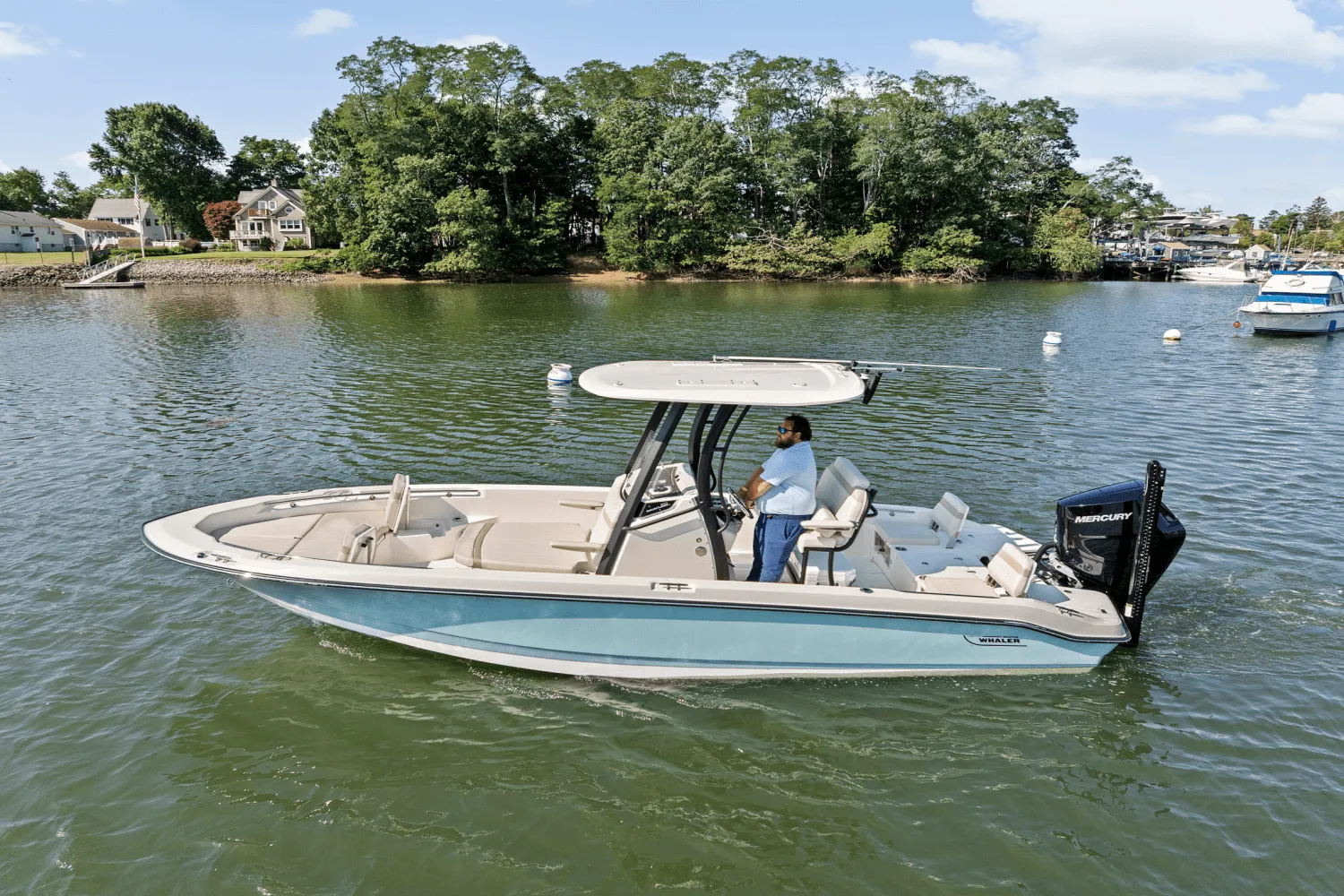 2025 Boston Whaler 250 Dauntless Image Thumbnail #69