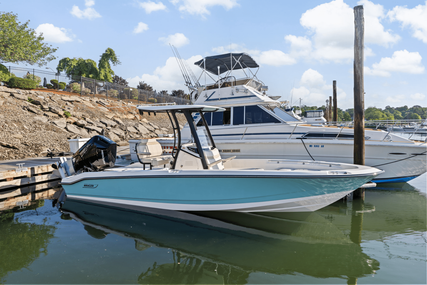 2025 Boston Whaler 250 Dauntless Image Thumbnail #7