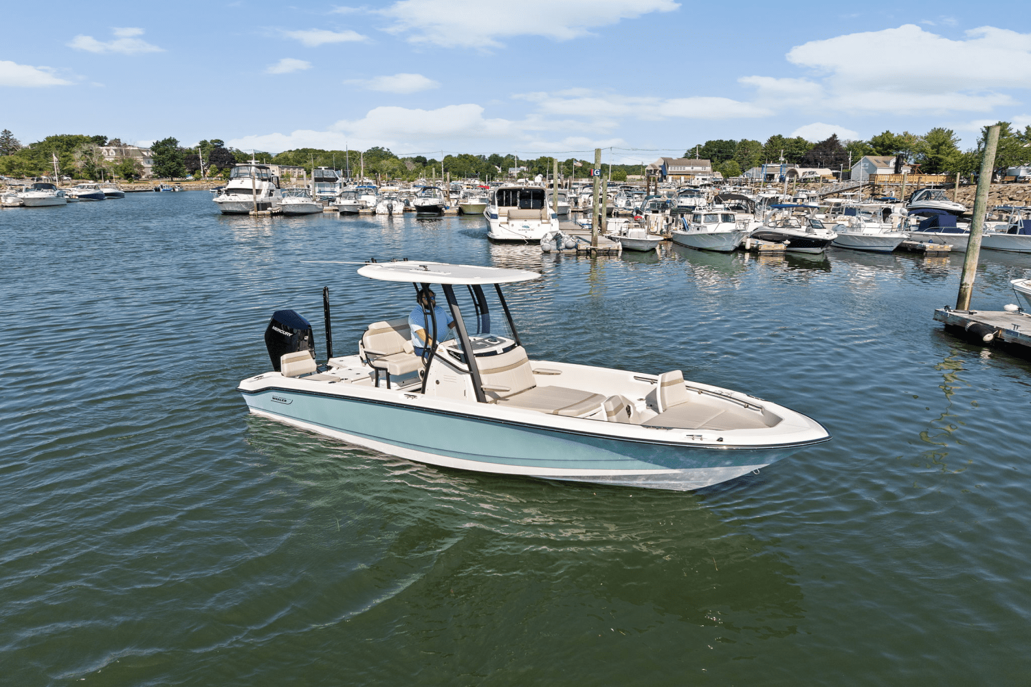 2025 Boston Whaler 250 Dauntless Image Thumbnail #0