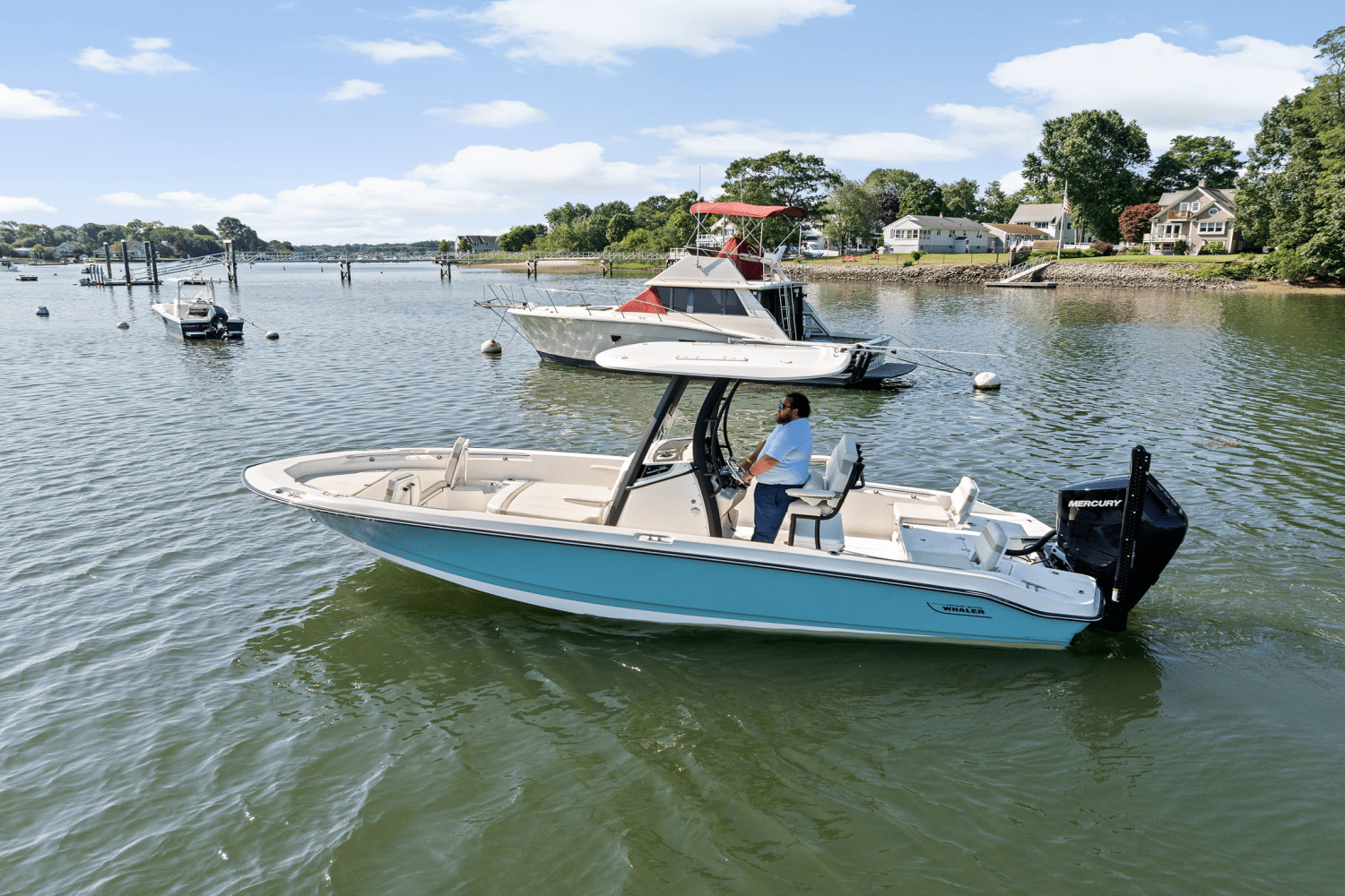 2025 Boston Whaler 250 Dauntless Image Thumbnail #1