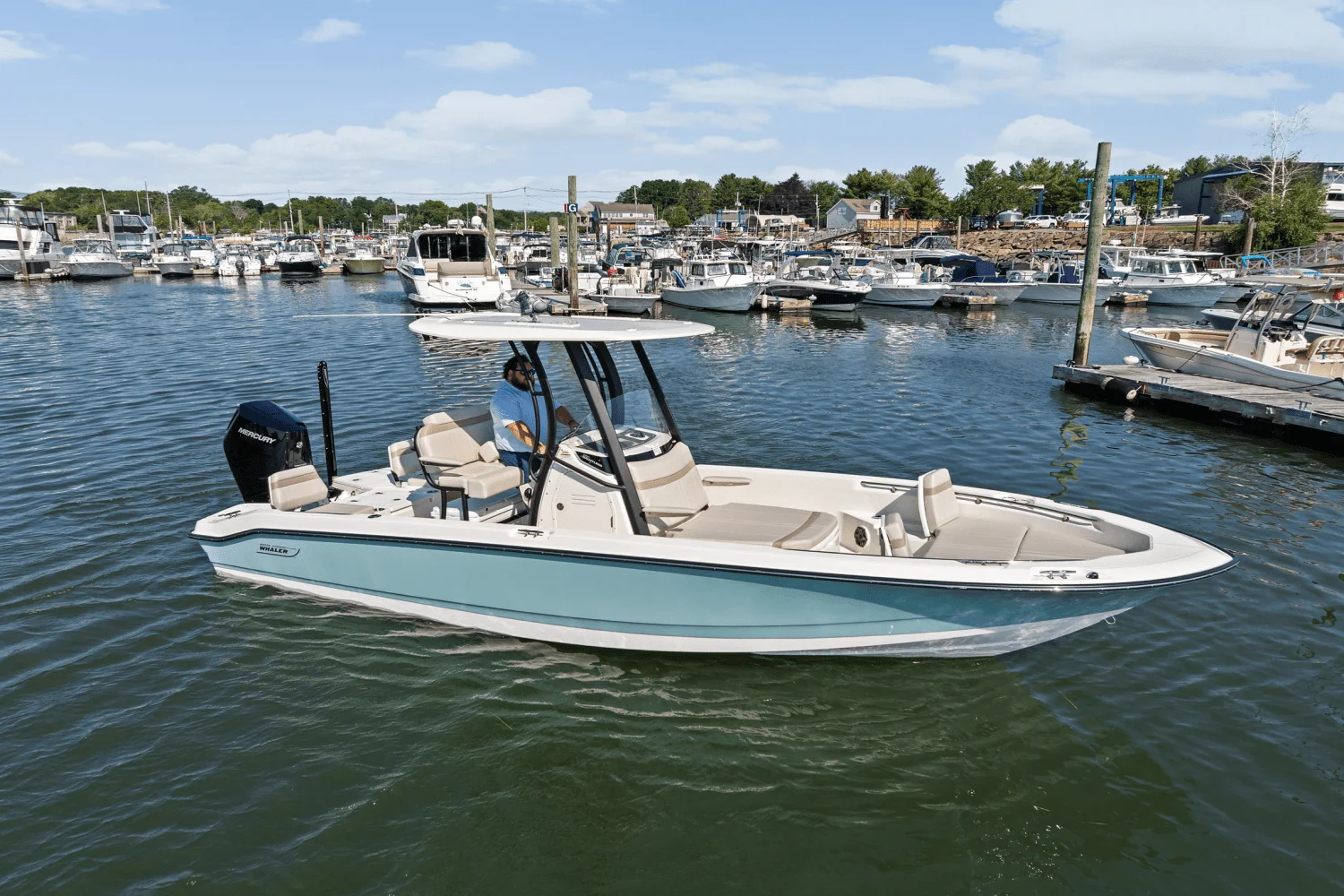 2025 Boston Whaler 250 Dauntless Image Thumbnail #63