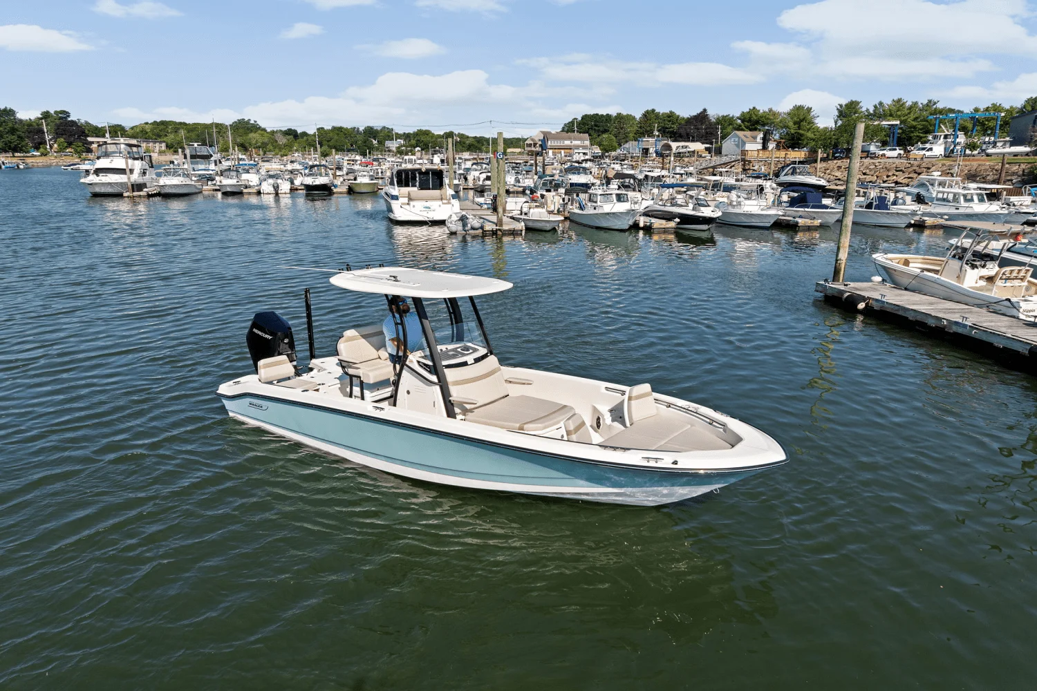 2025 Boston Whaler 250 Dauntless Image Thumbnail #64