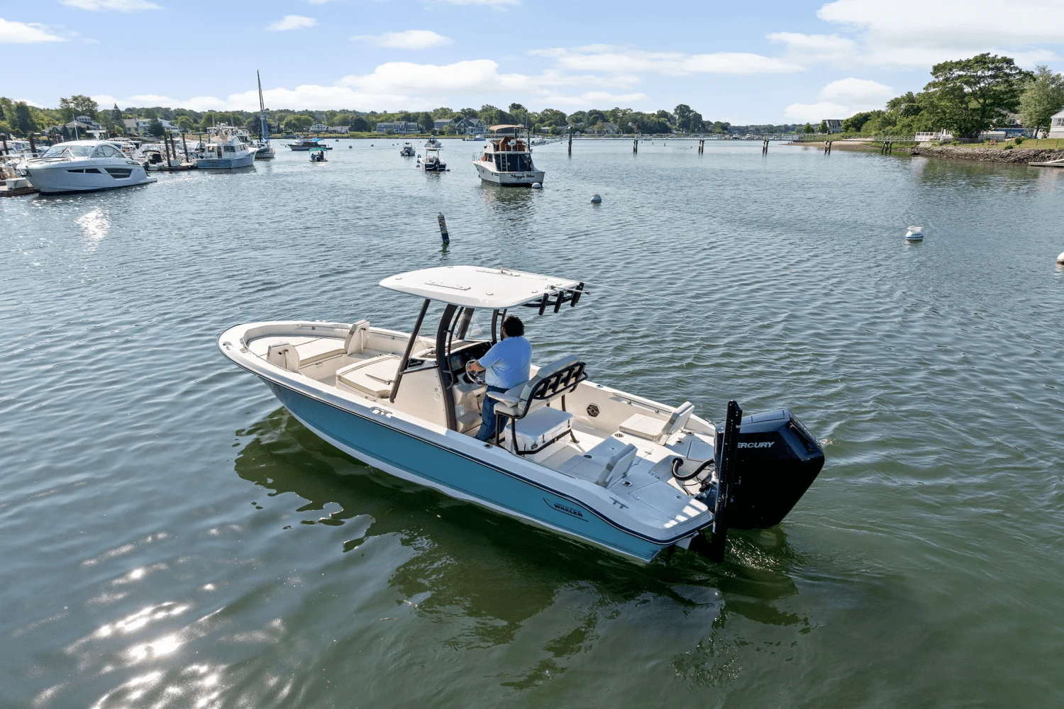 2025 Boston Whaler 250 Dauntless Image Thumbnail #3
