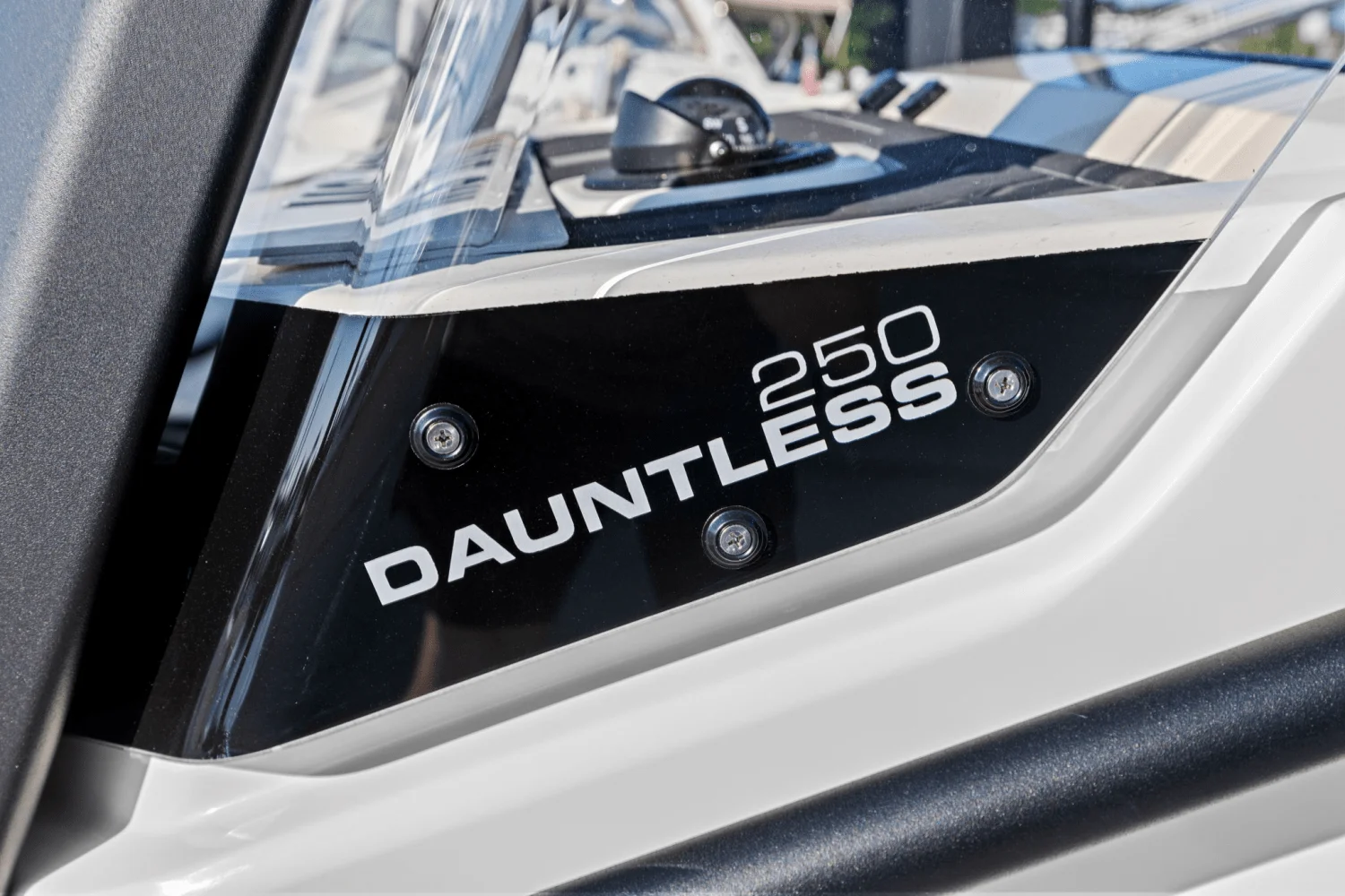 2025 Boston Whaler 250 Dauntless Image Thumbnail #44