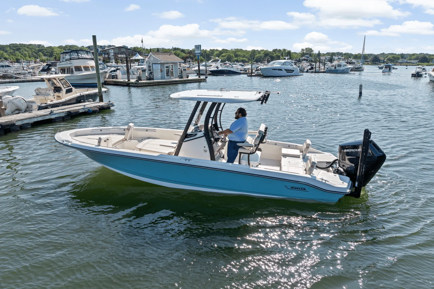 2025 Boston Whaler 250 Dauntless Image Thumbnail #61
